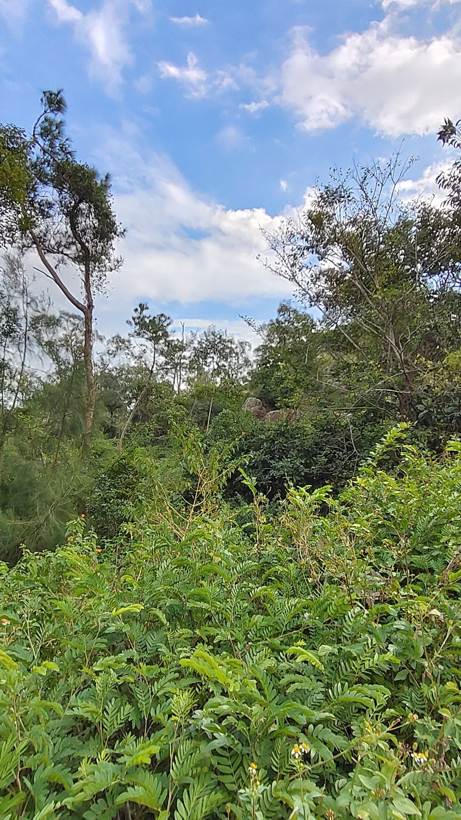 灵秀山风景区旅行图片 2