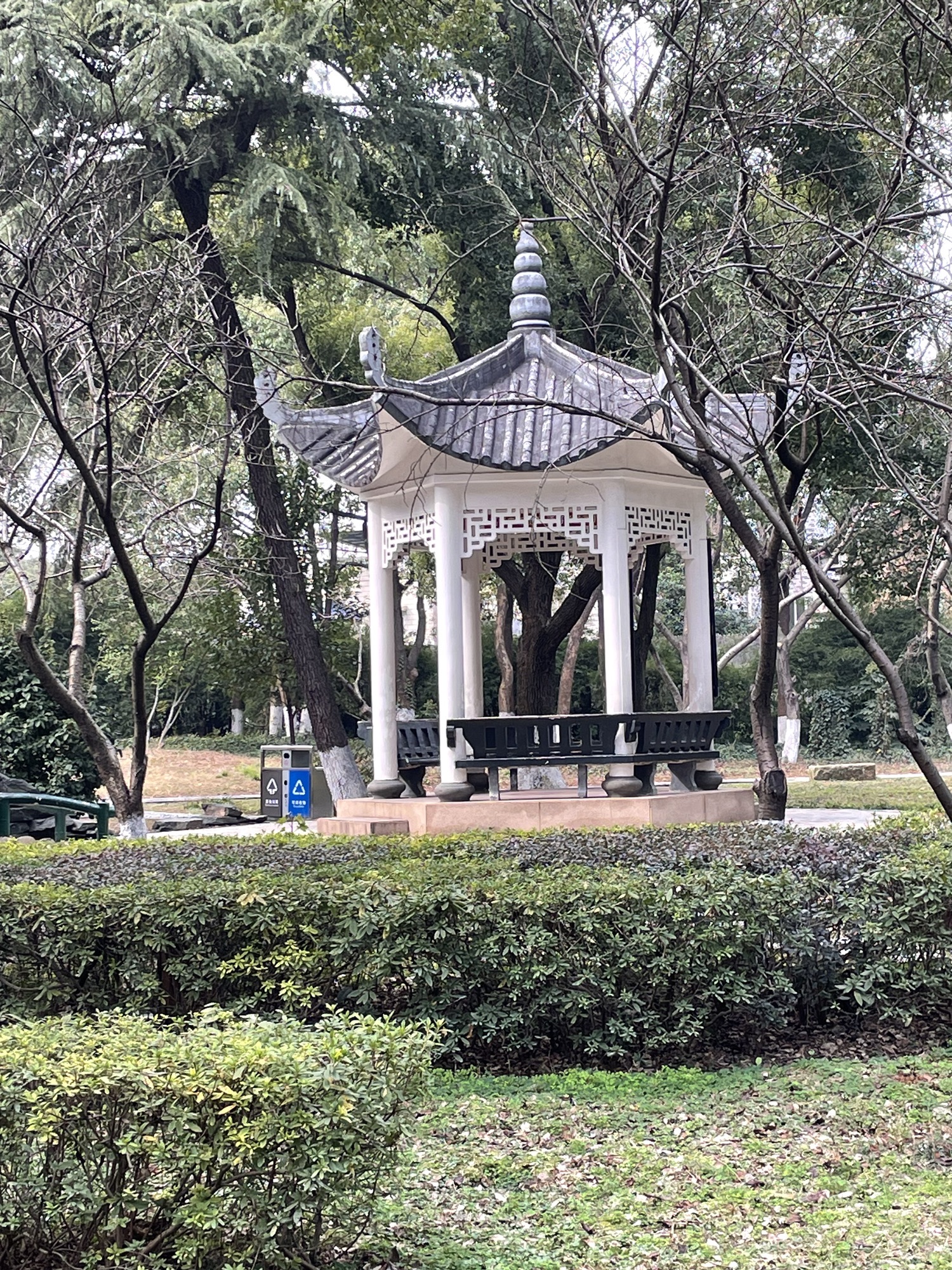 菊花塘公园旅行图片 2