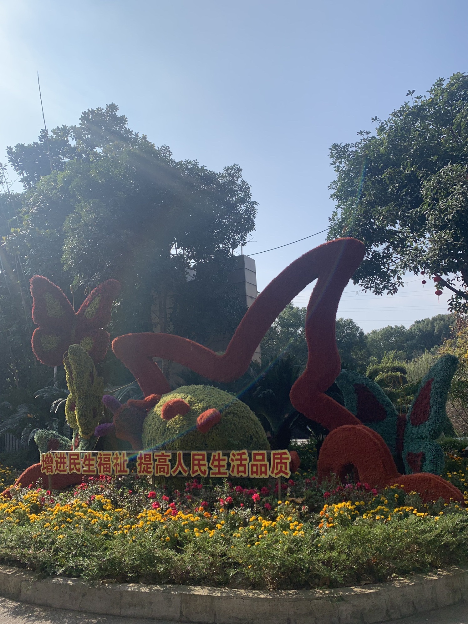 菊花塘公园旅行图片 3