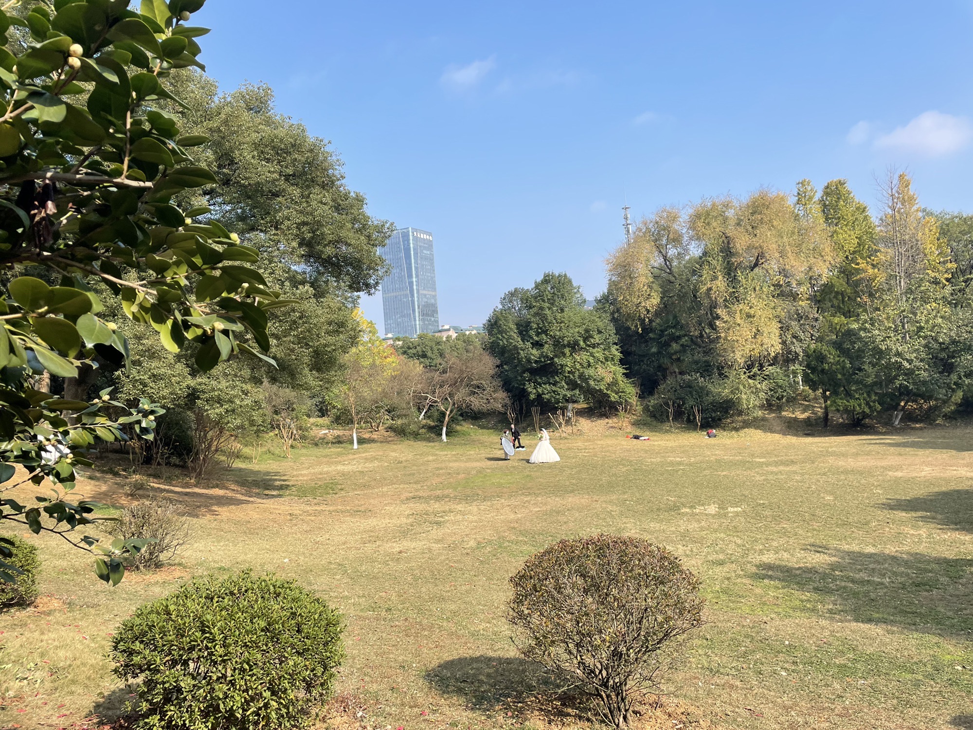 菊花塘公园旅行图片 2