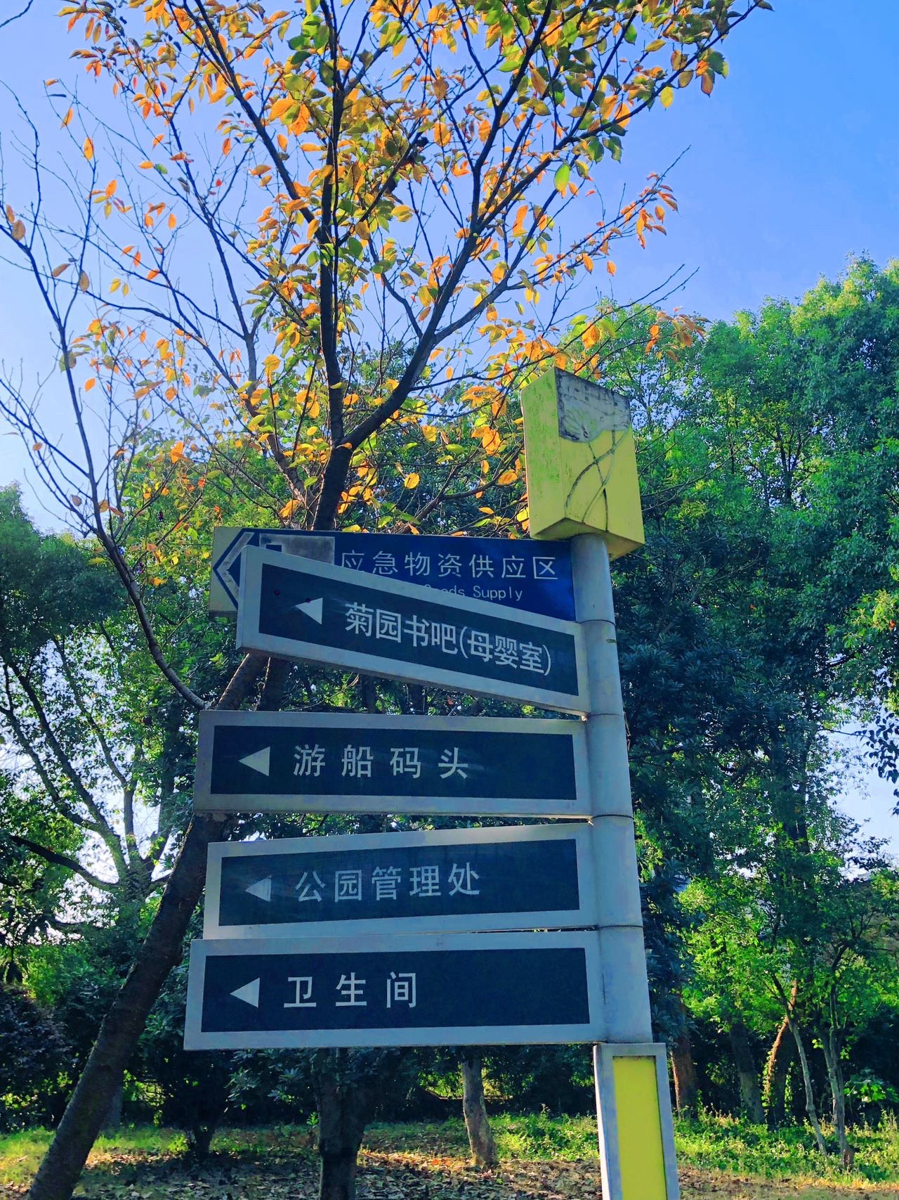 菊花塘公园旅行图片 1
