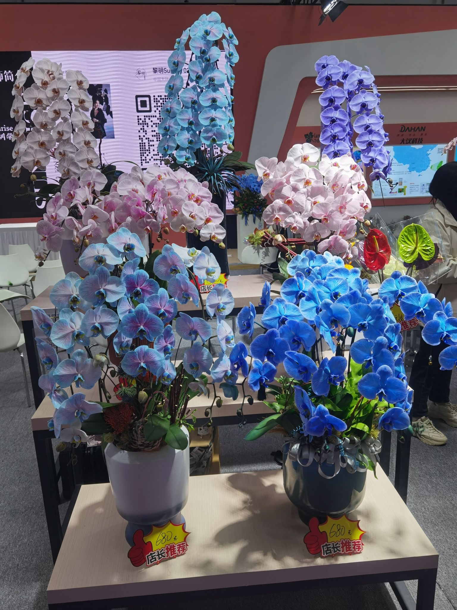 中国花卉博览园花博会旅行图片 1
