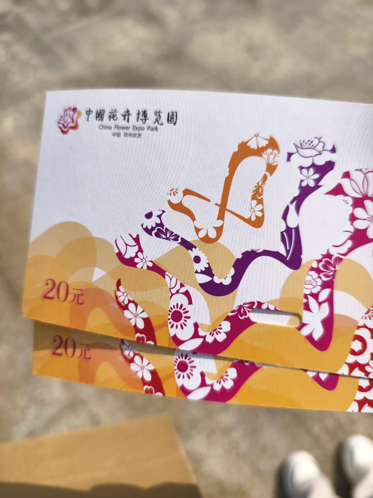 中国花卉博览园花博会旅行图片 1