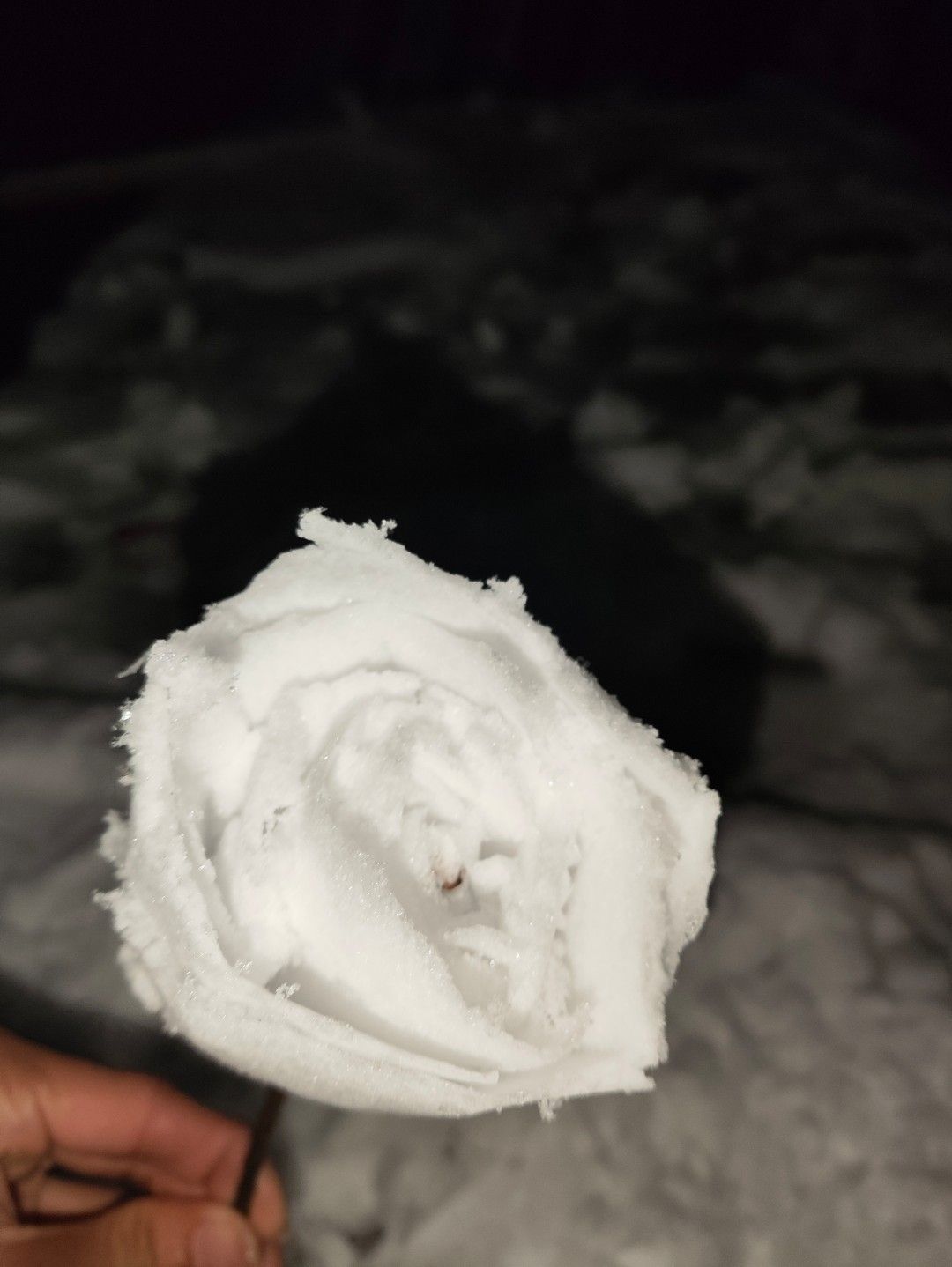 南康文化广场旅行图片 1