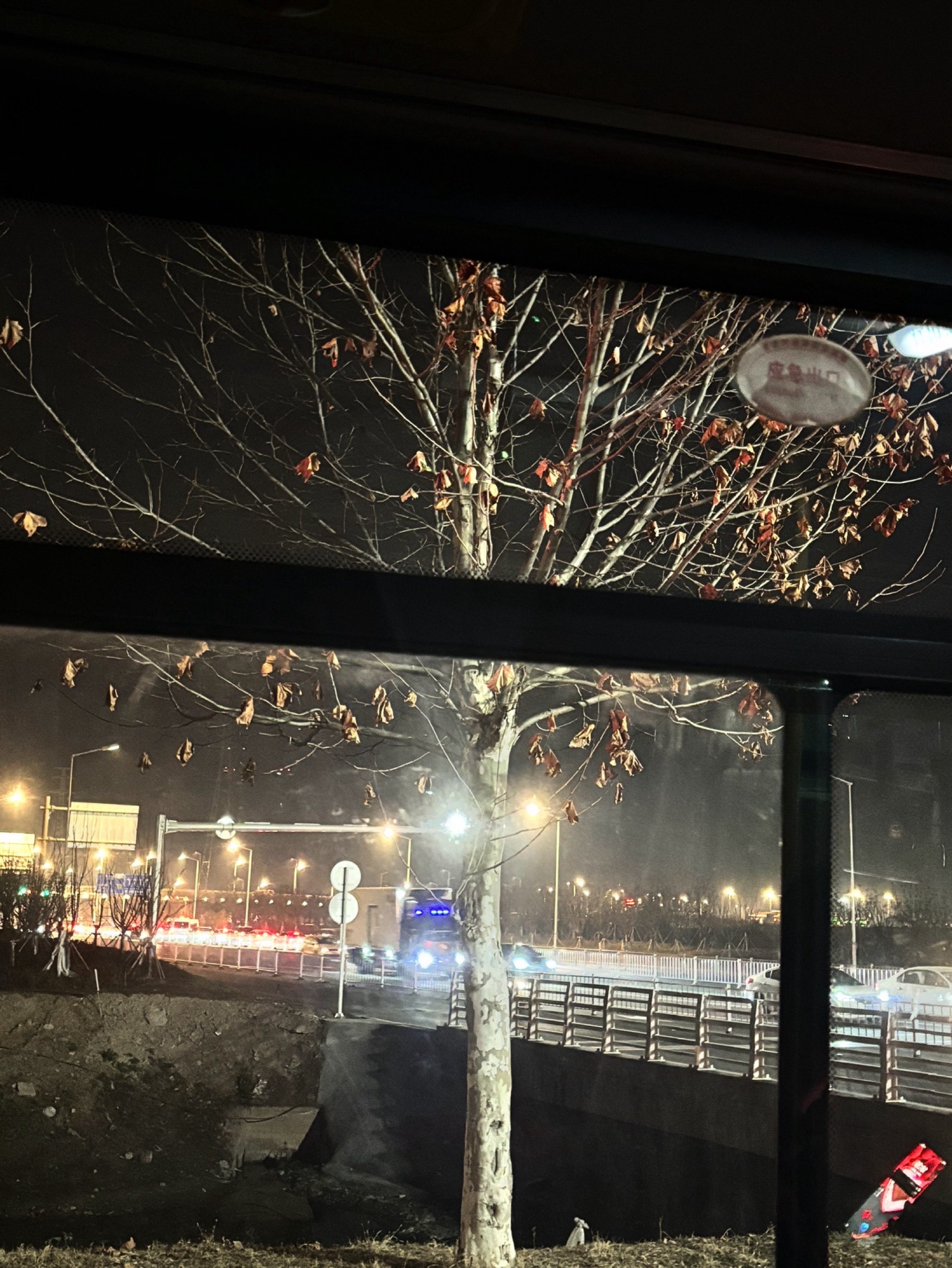 千鸟园旅行图片 1