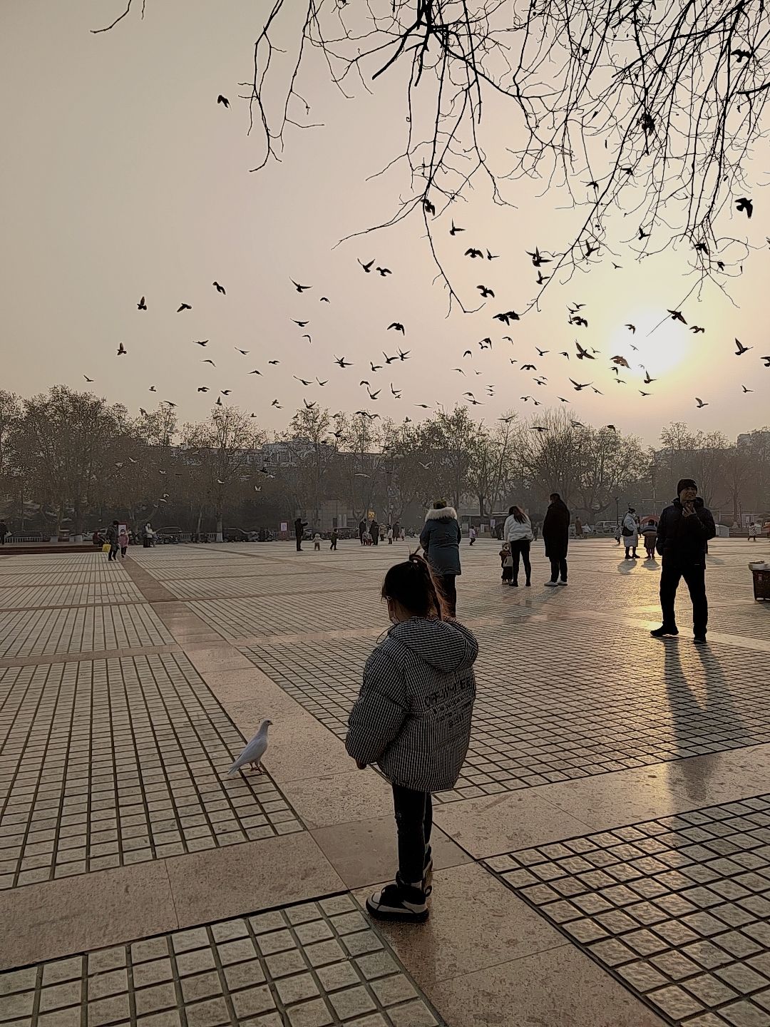 世纪广场旅行图片 1