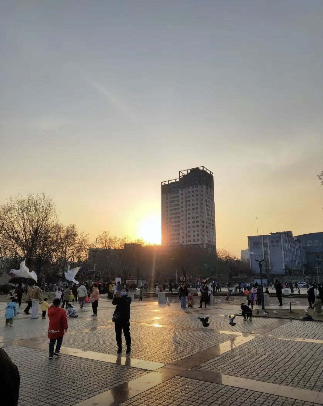 世纪广场旅行图片 2