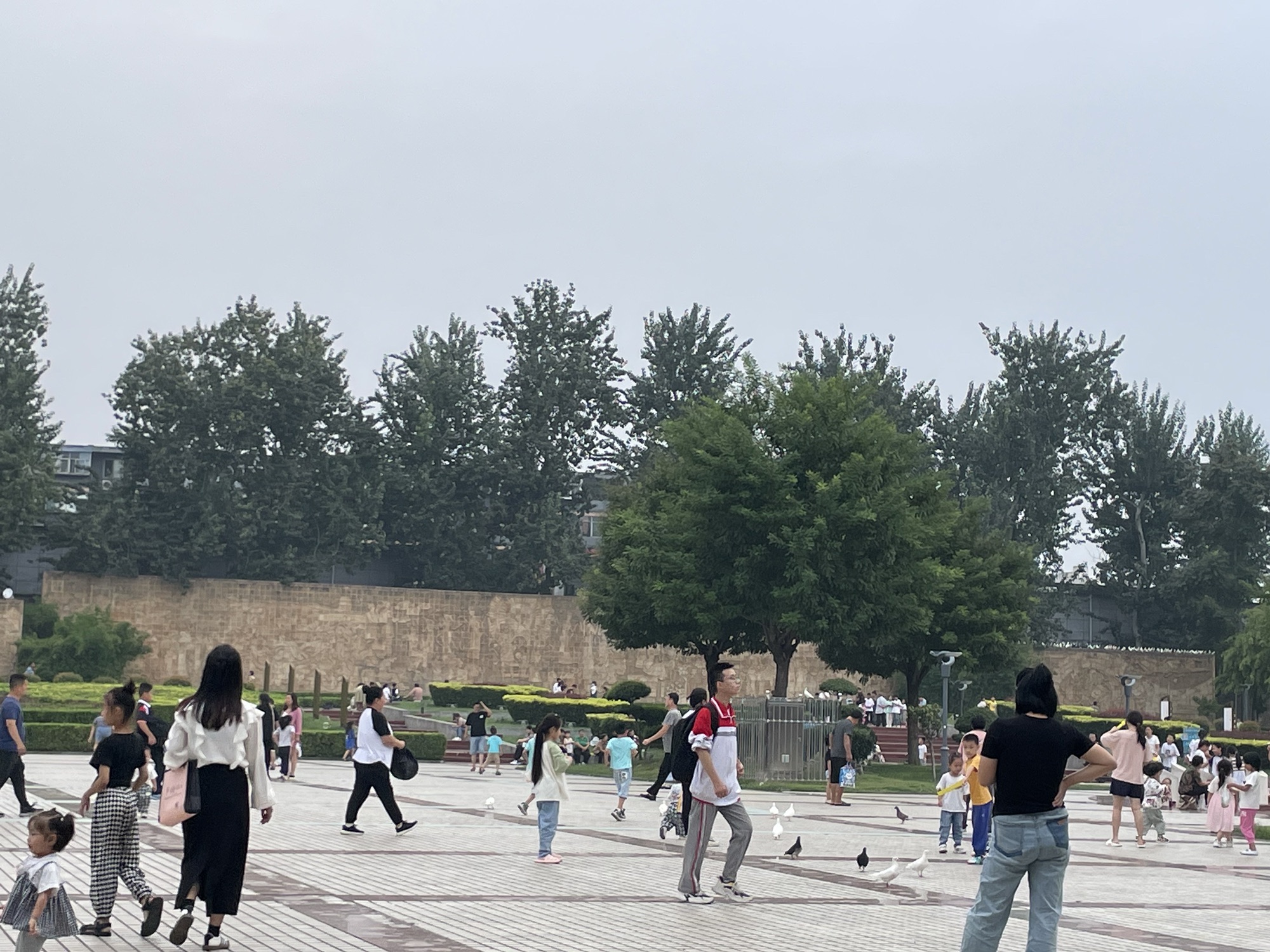世纪广场旅行图片 1