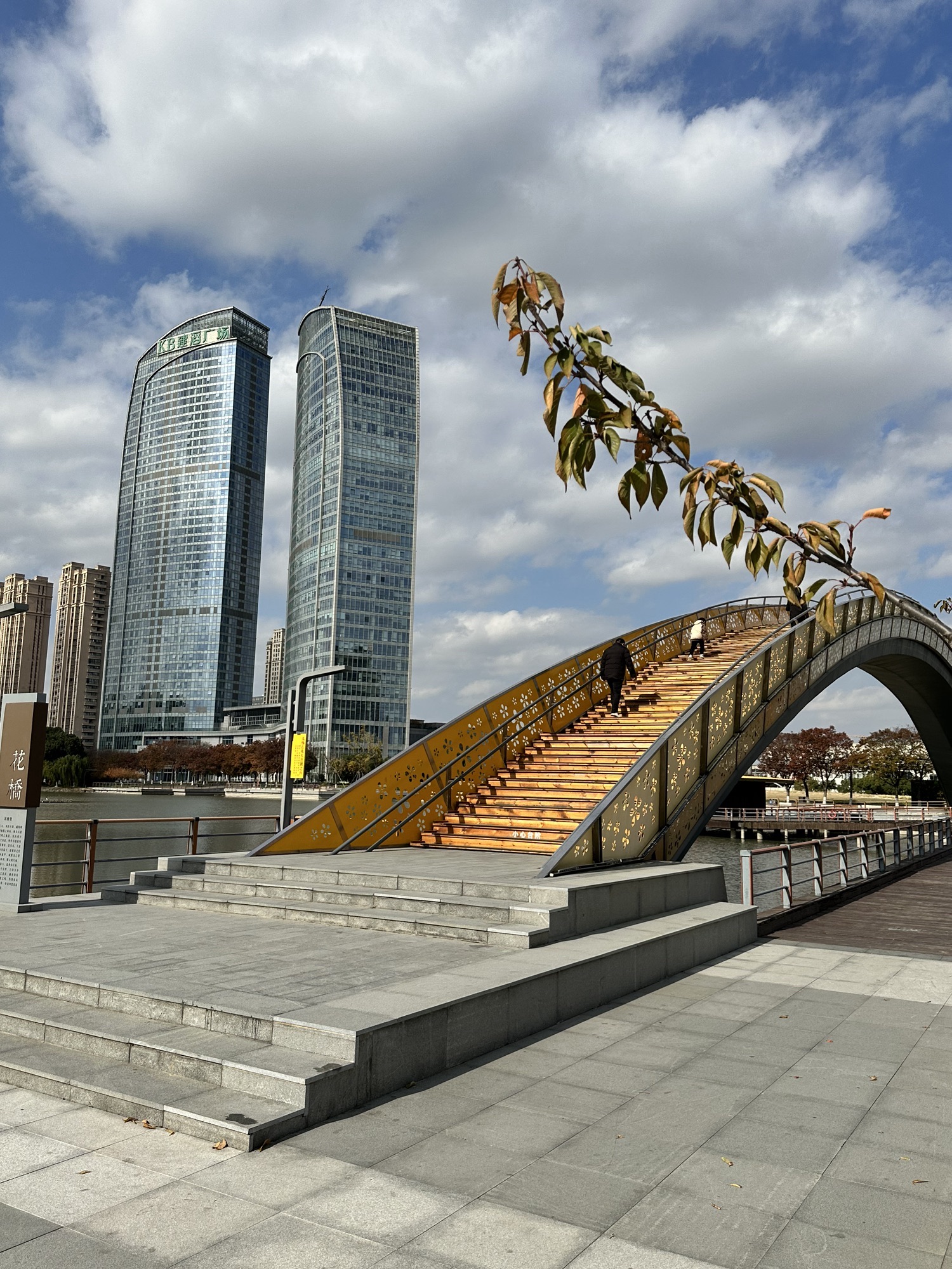花桥中央公园旅行图片 3