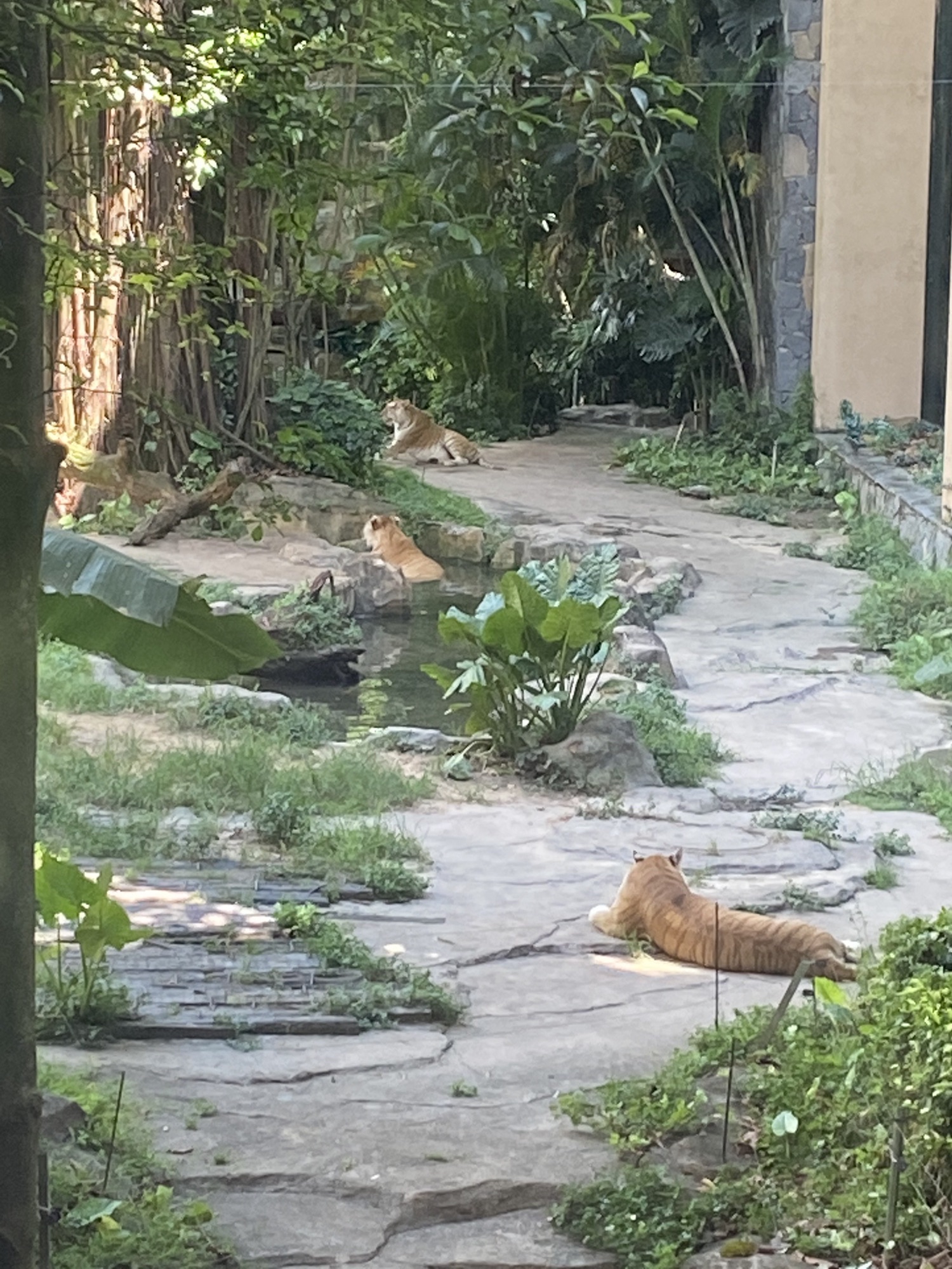 广州长隆旅游度假区旅行图片 3
