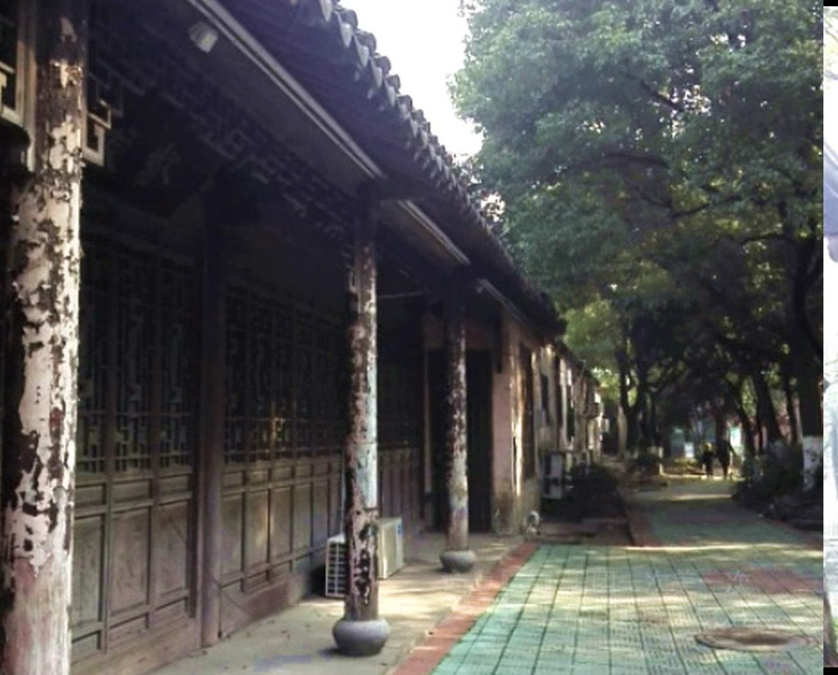 镇中公园旅行图片 3