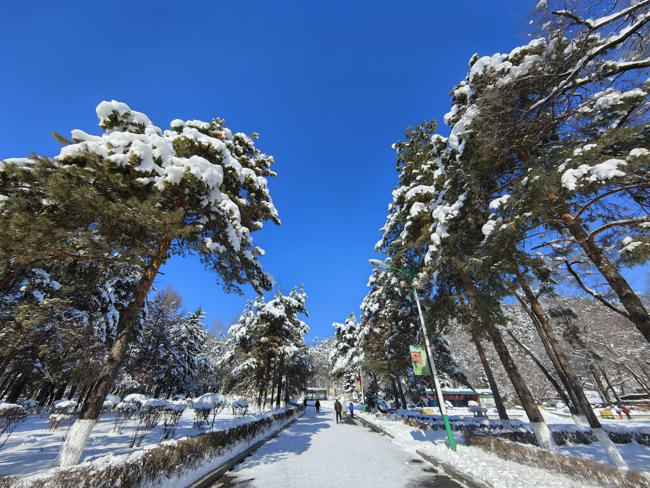 北山公园旅行图片 3