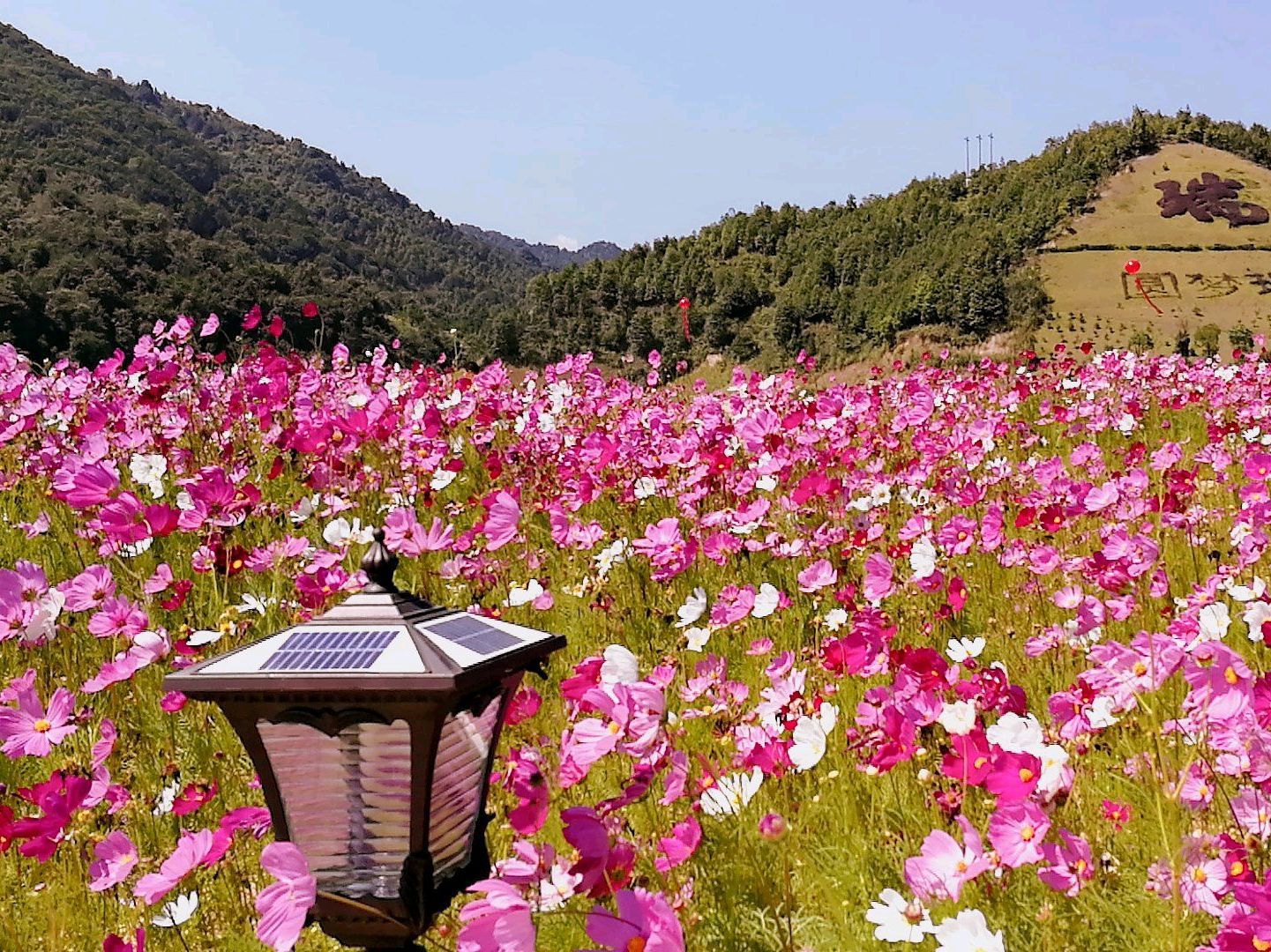 广东瑞山文化生态旅游度假区旅行图片 1