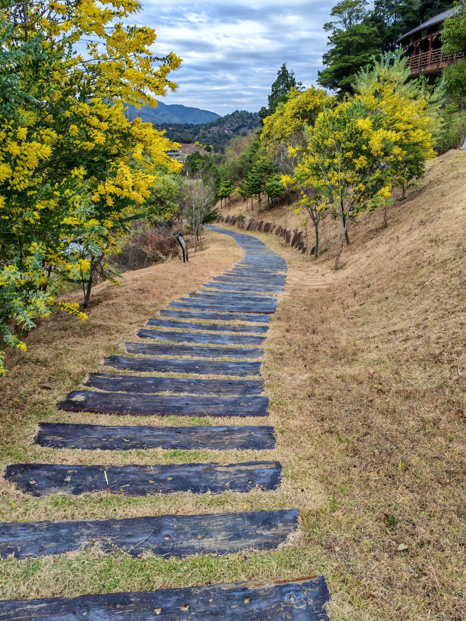 广东瑞山文化生态旅游度假区旅行图片 1