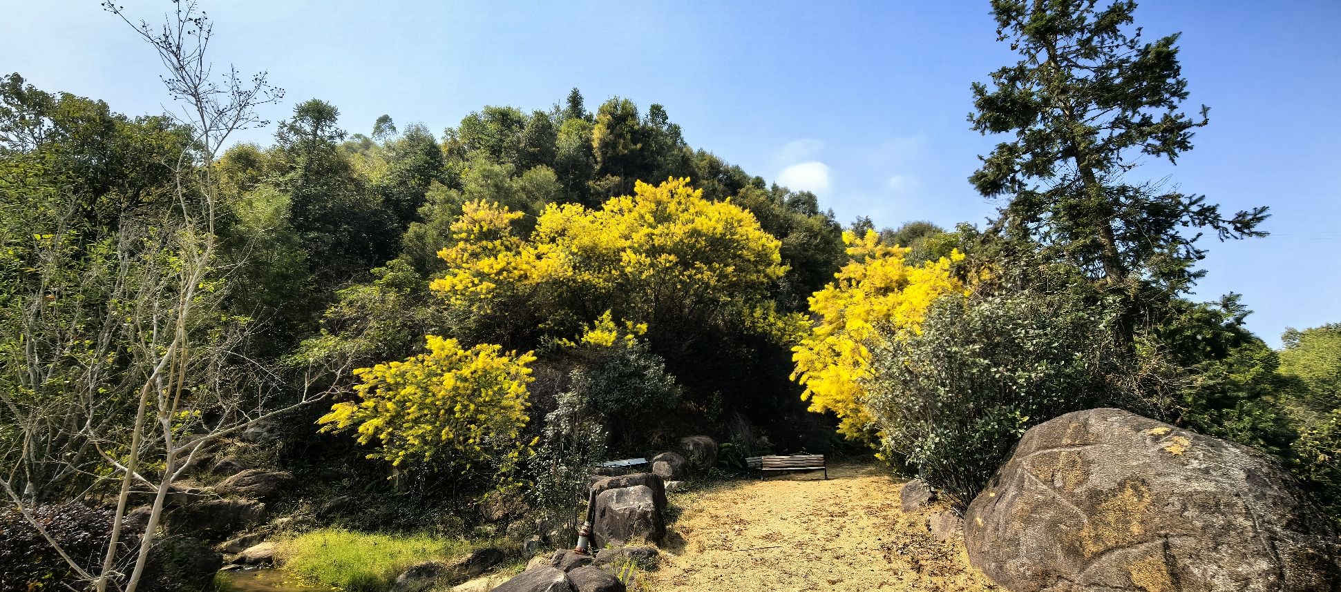 广东瑞山文化生态旅游度假区旅行图片 3