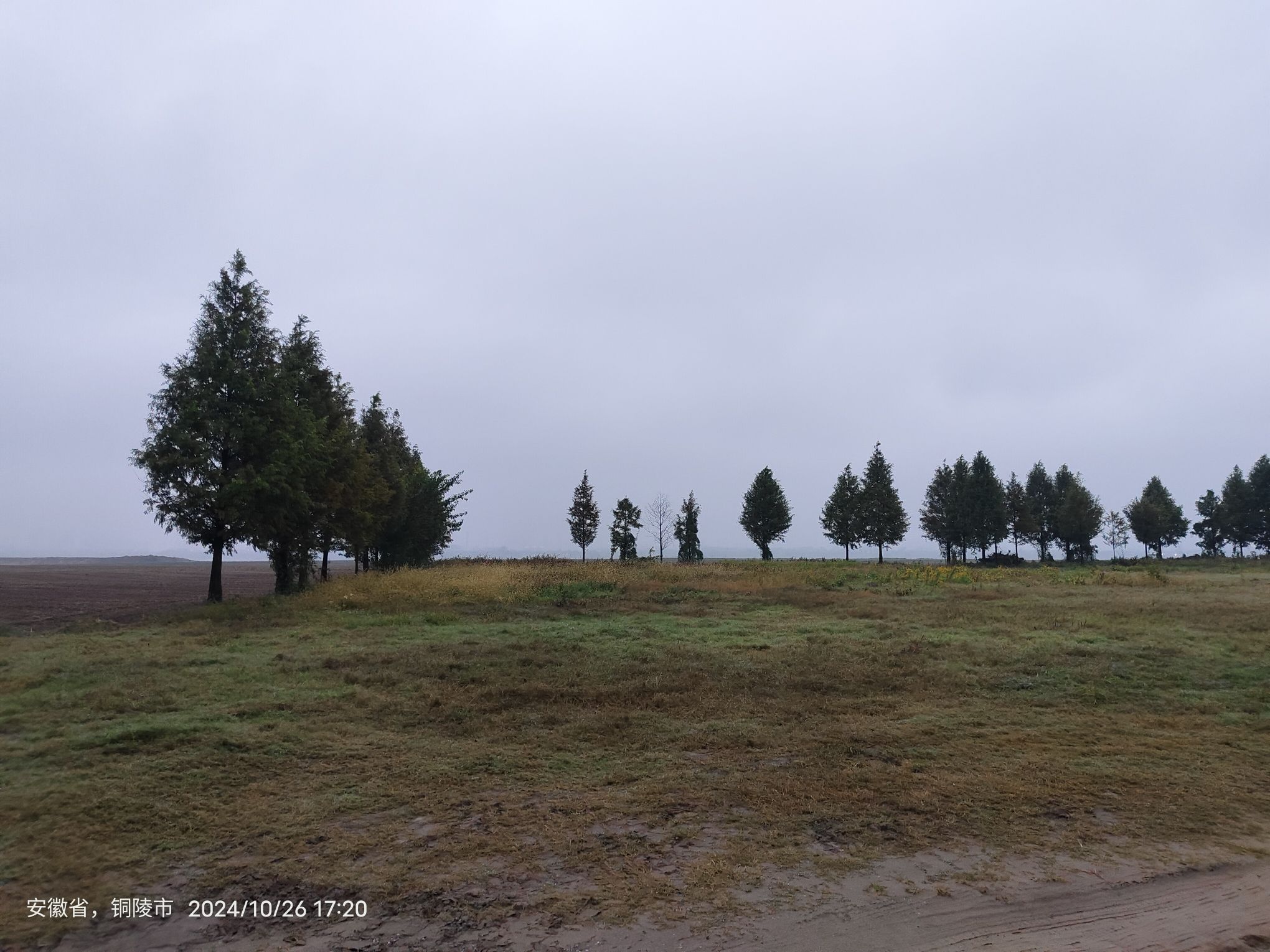 老洲太阳岛旅行图片 1