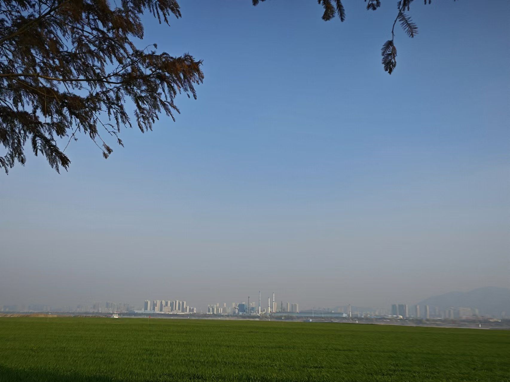 老洲太阳岛旅行图片 3