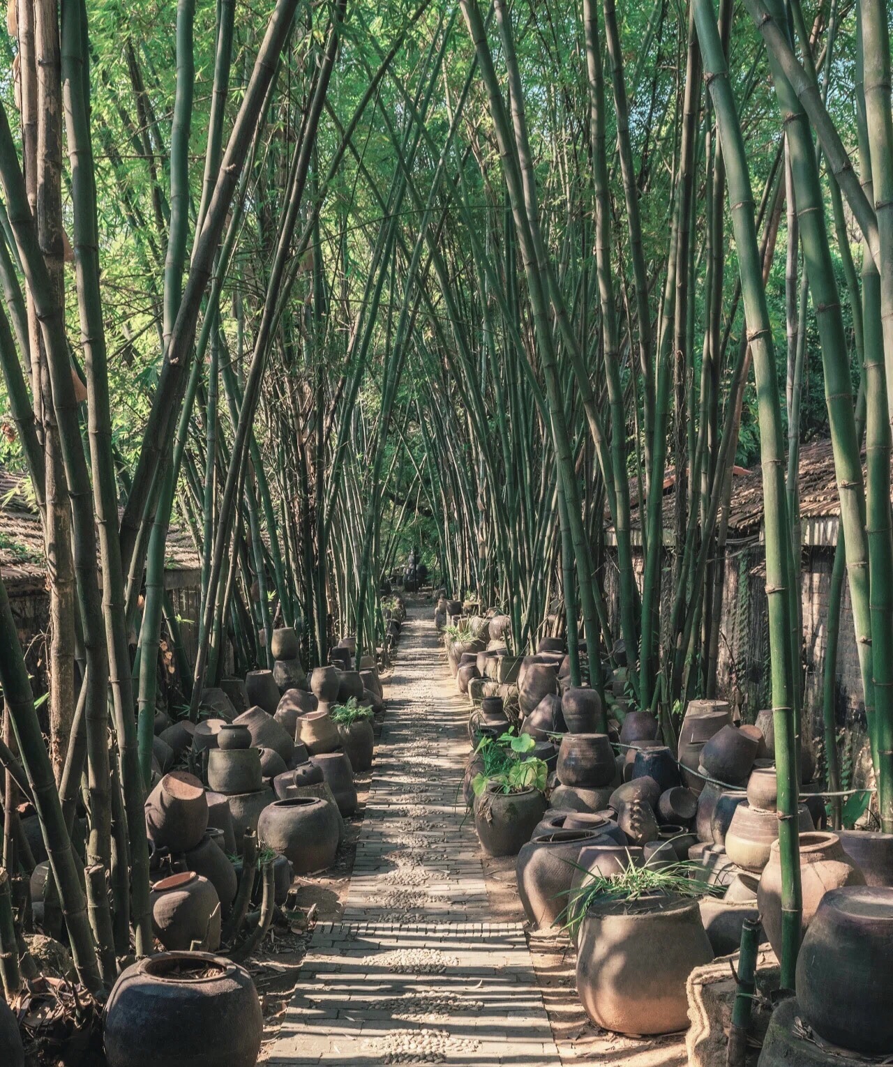 老木棉匠园旅行图片 1