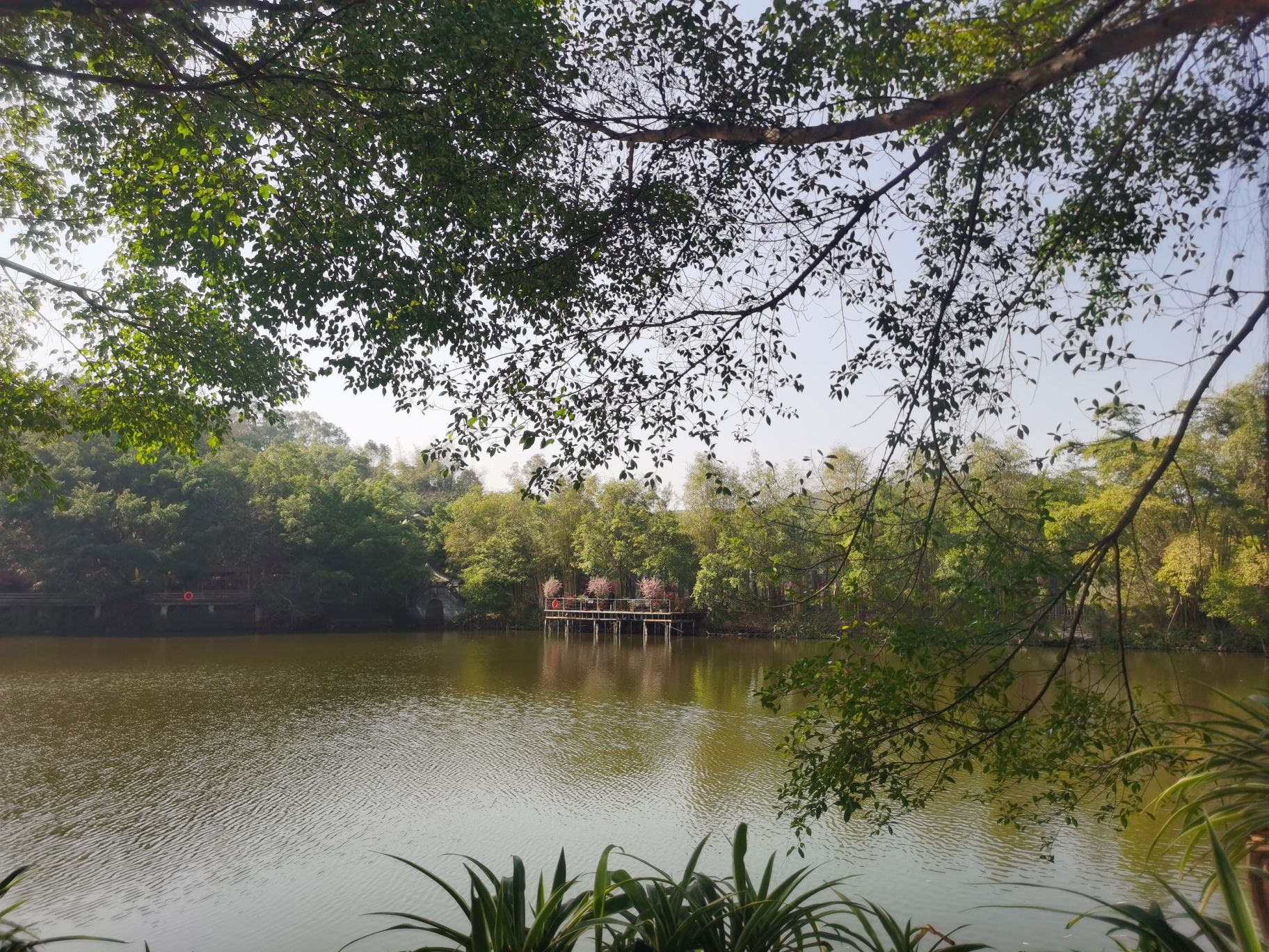 老木棉匠园旅行图片 3