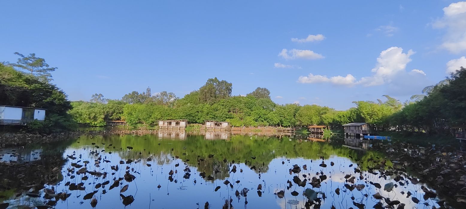 老木棉匠园旅行图片 2