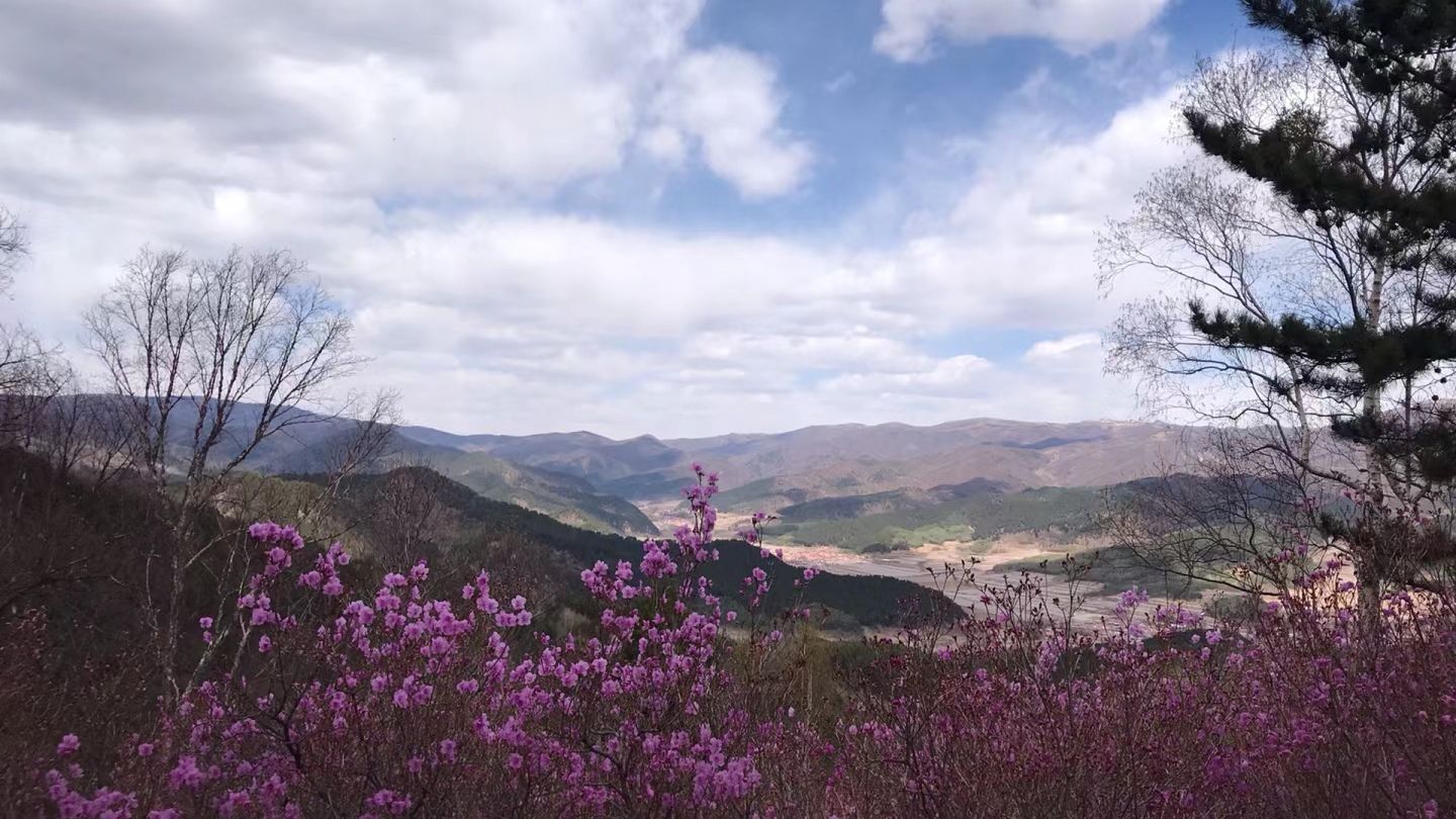 杜鹃山景区旅行图片 1