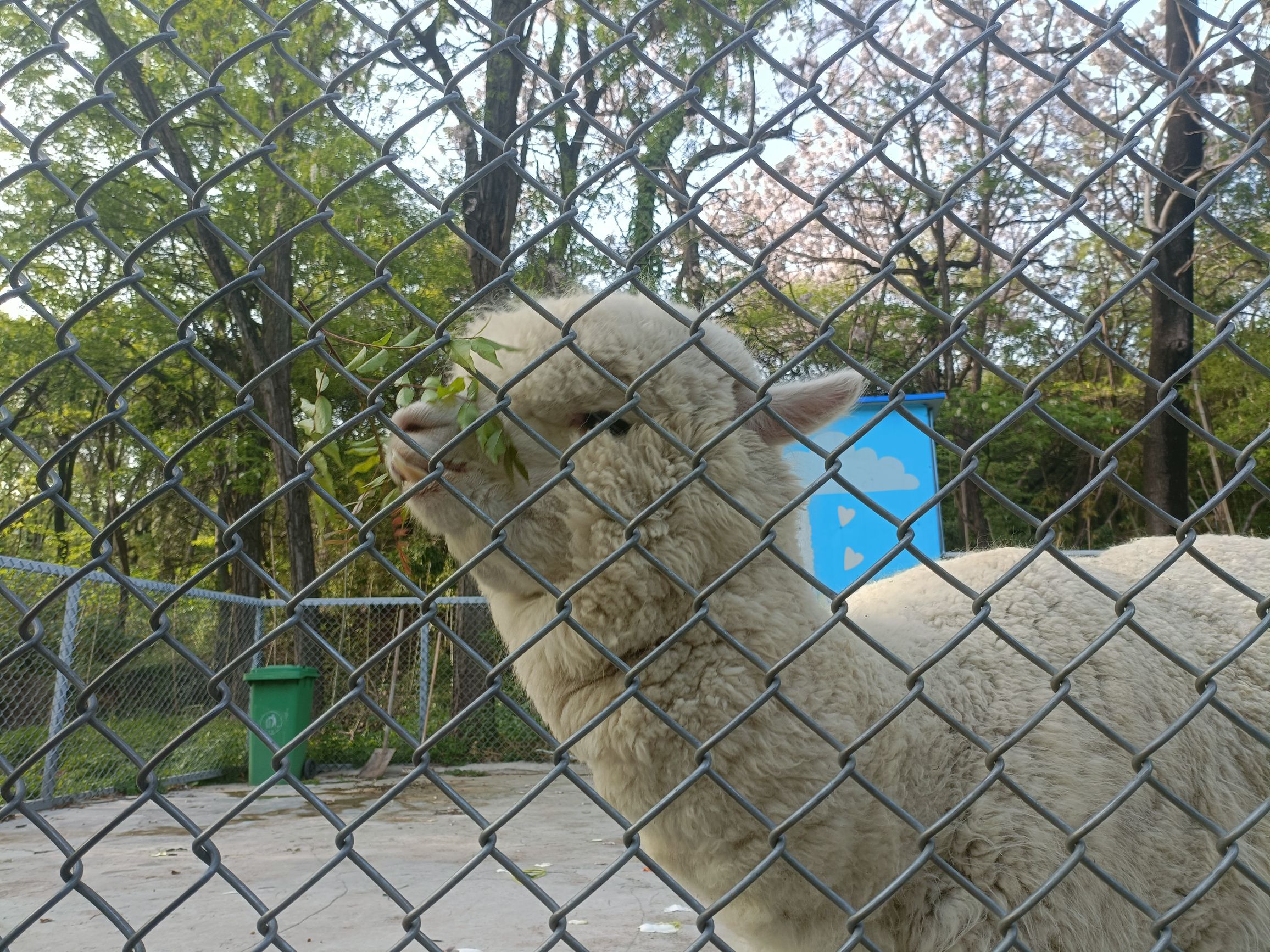 相山公园淮北动物园