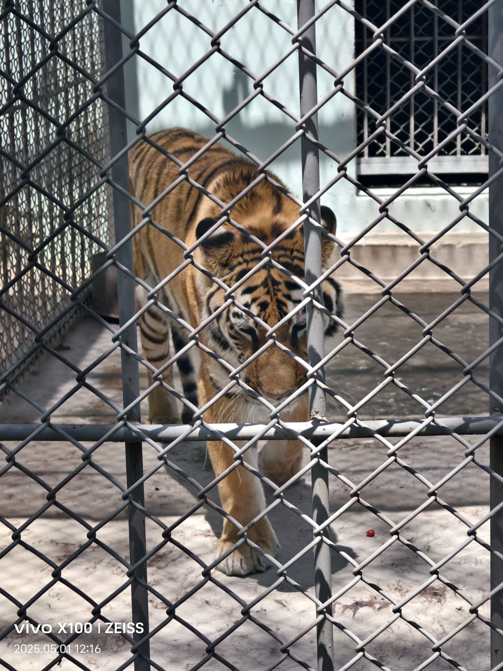 相山公园淮北动物园