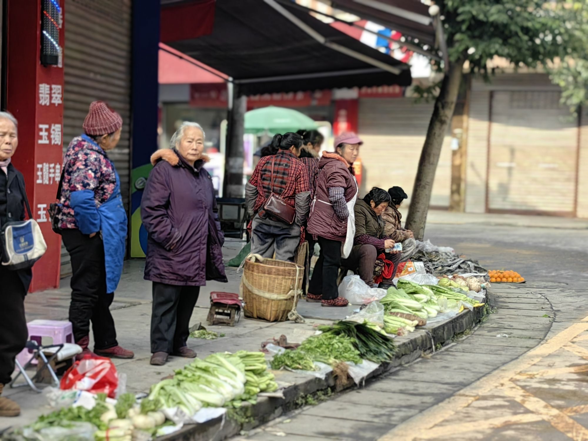罗目古镇旅行图片 2