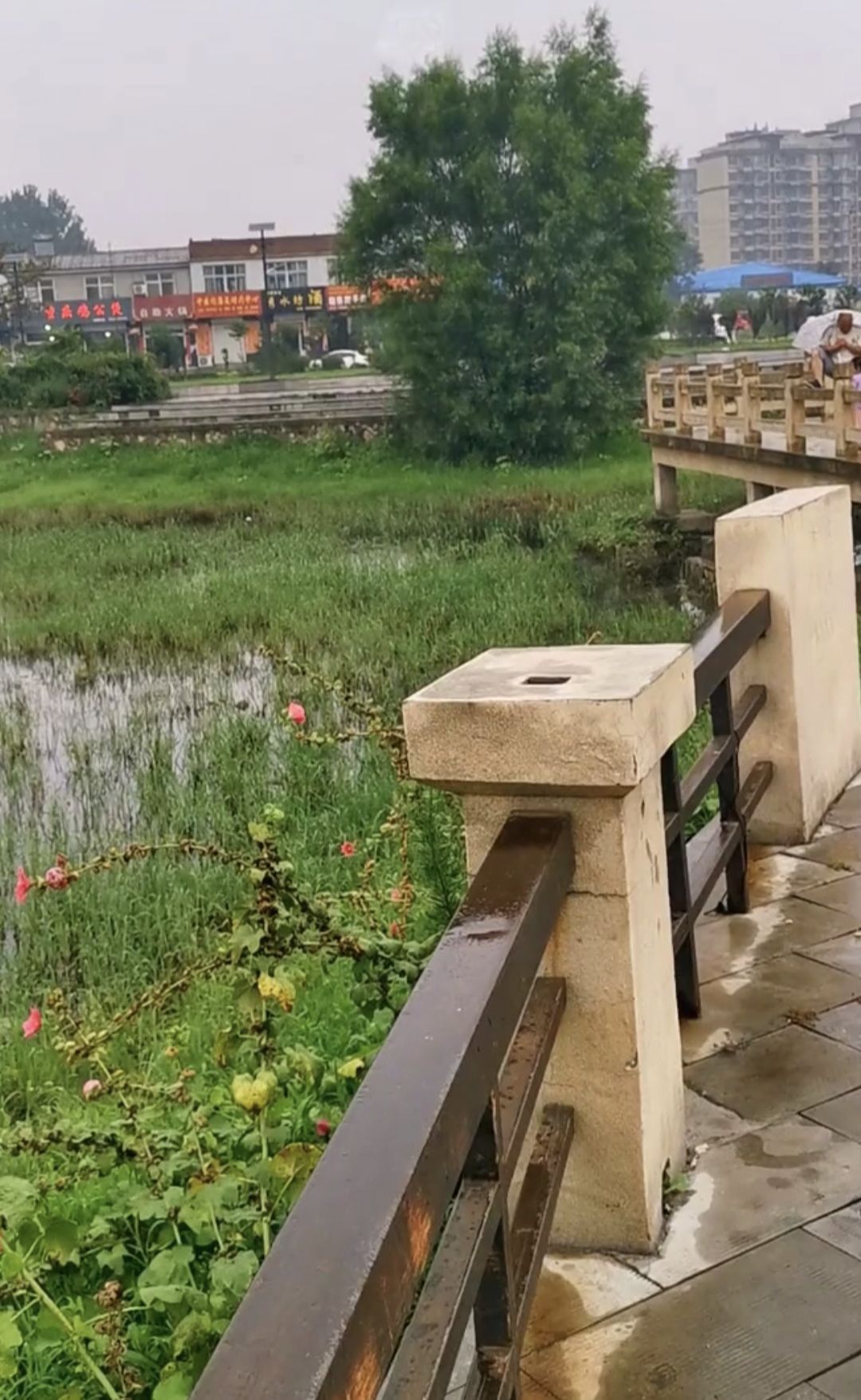 孙思邈公园旅行图片 2