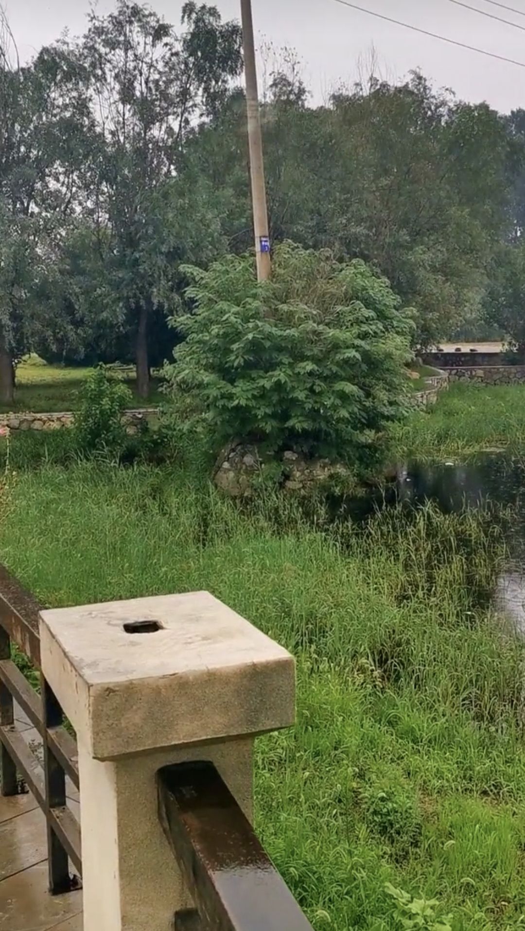 孙思邈公园旅行图片 1