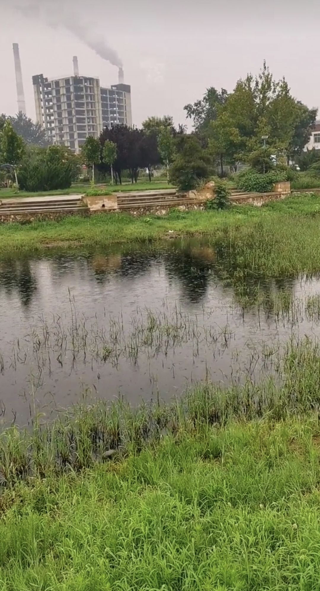 孙思邈公园旅行图片 3