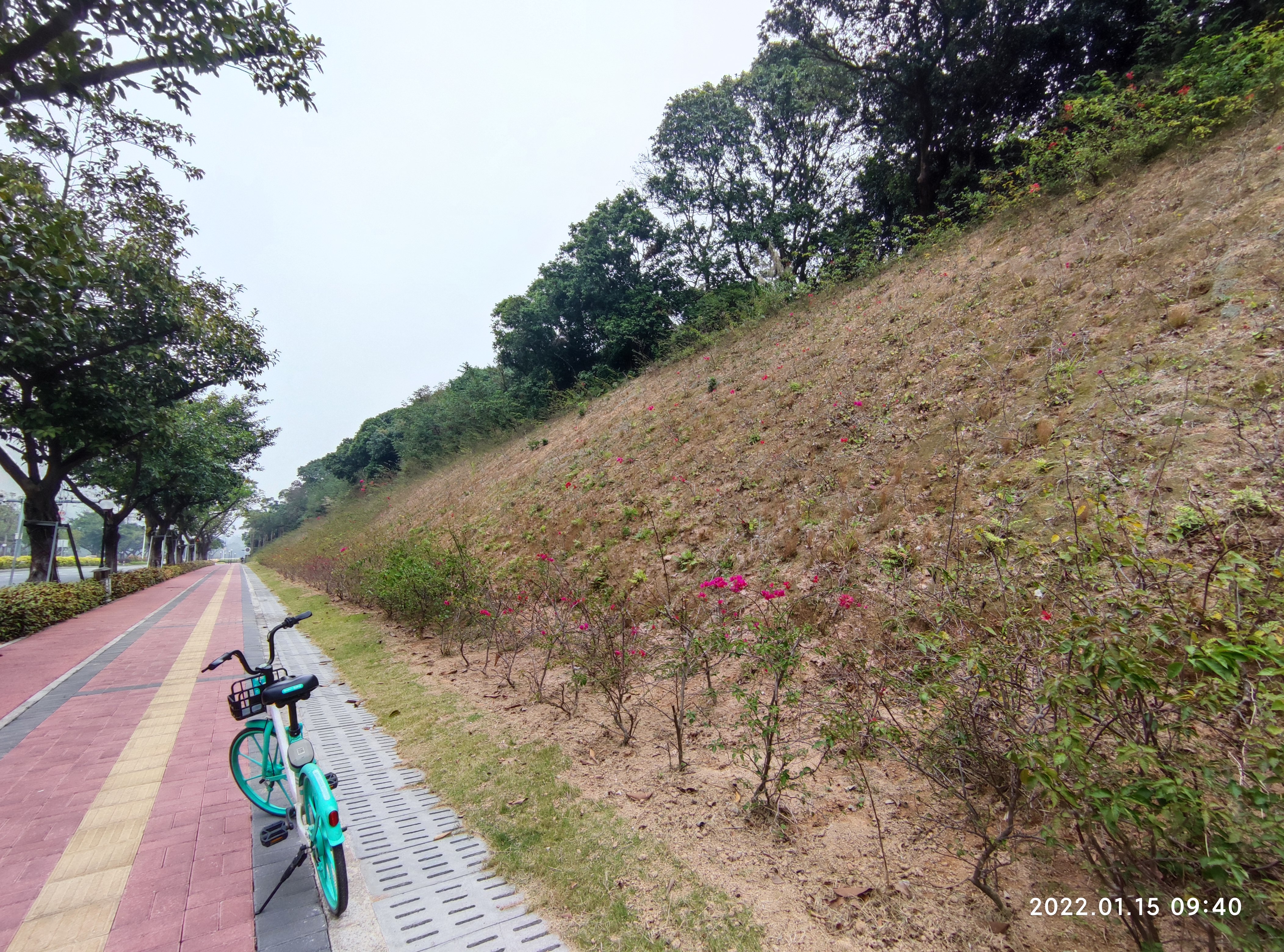 荔枝山公园旅行图片 1