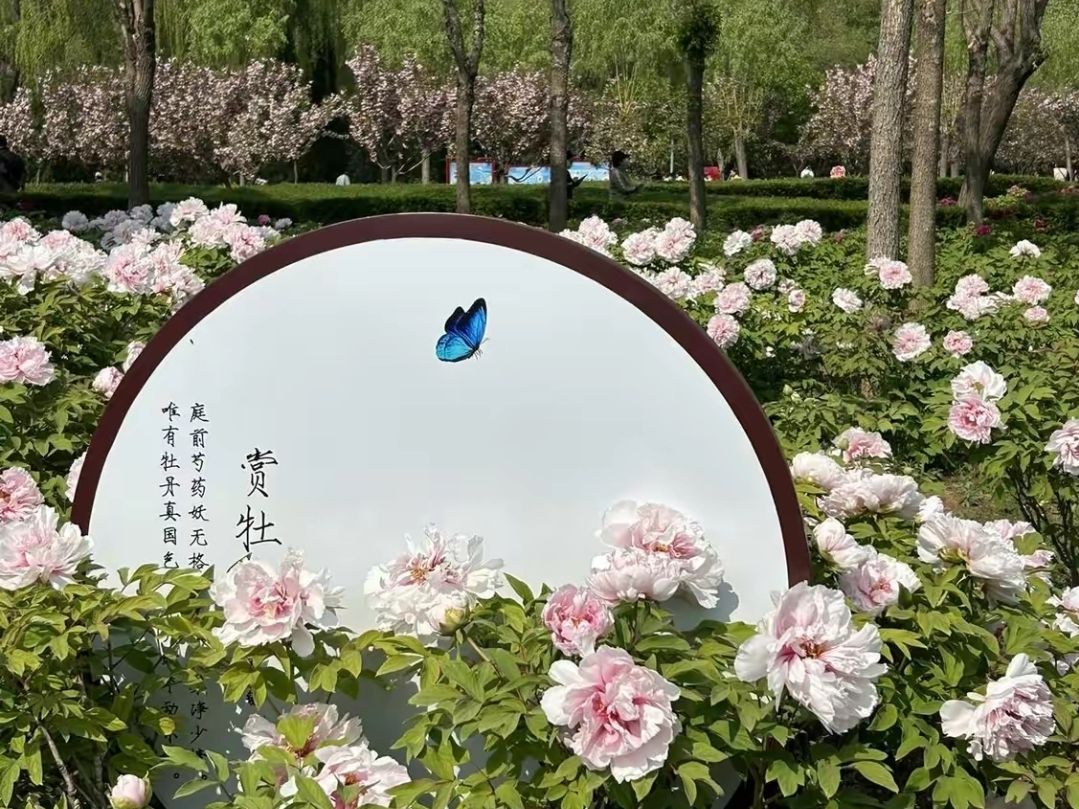 覃怀公园旅行图片 2
