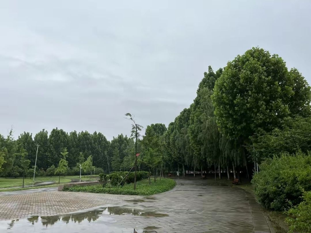 覃怀公园旅行图片 1