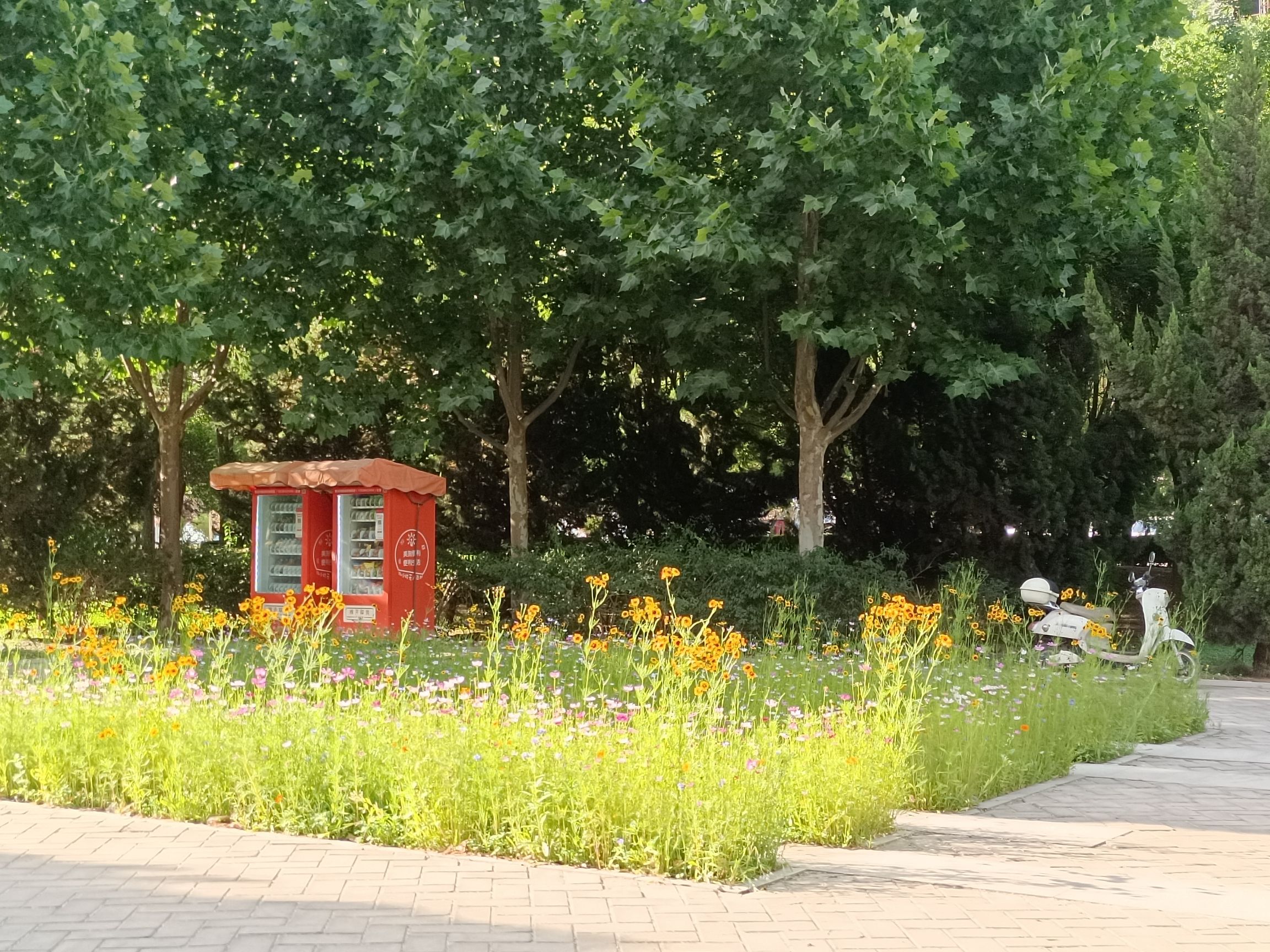 覃怀公园旅行图片 2