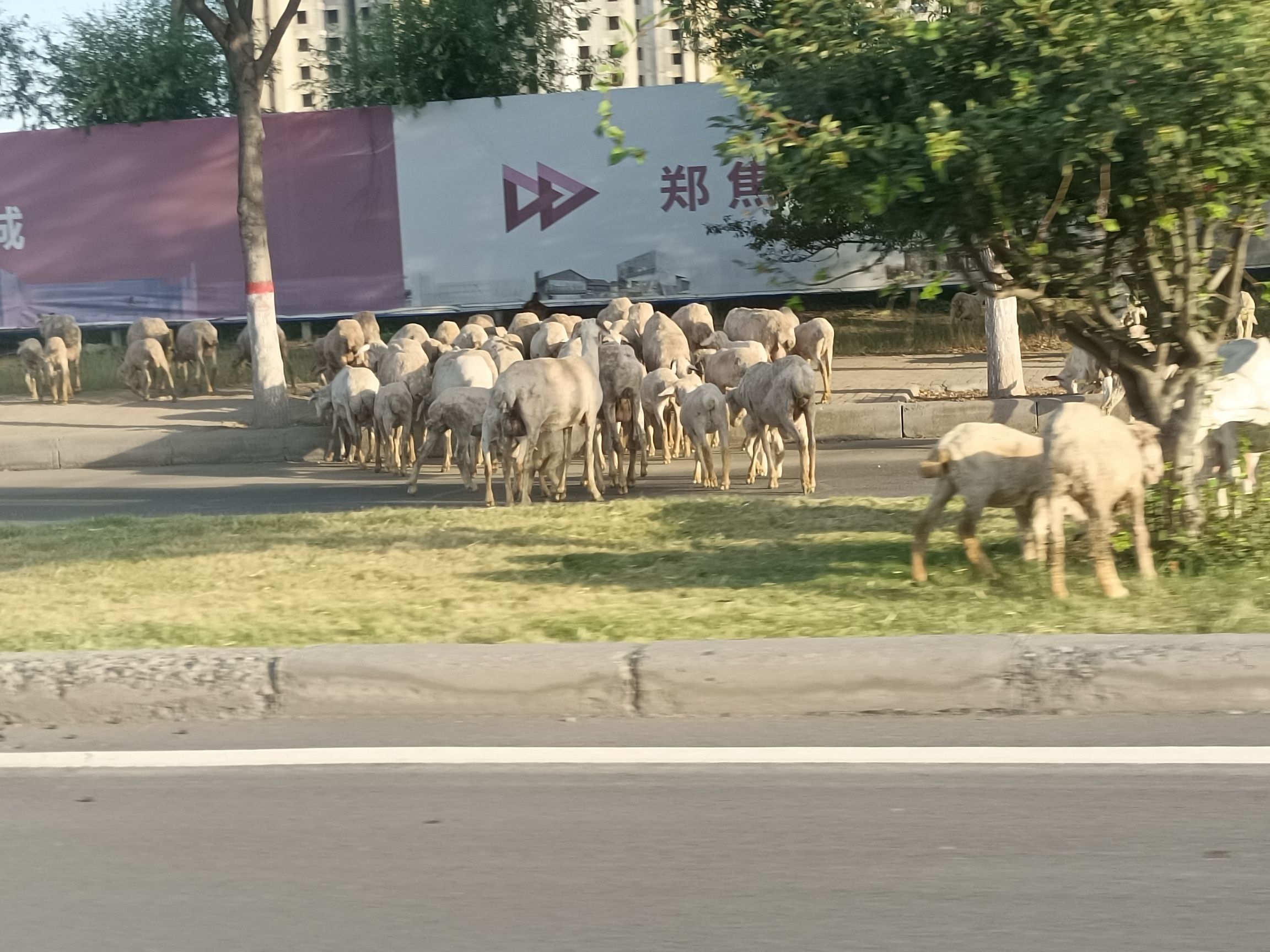 覃怀公园旅行图片 3