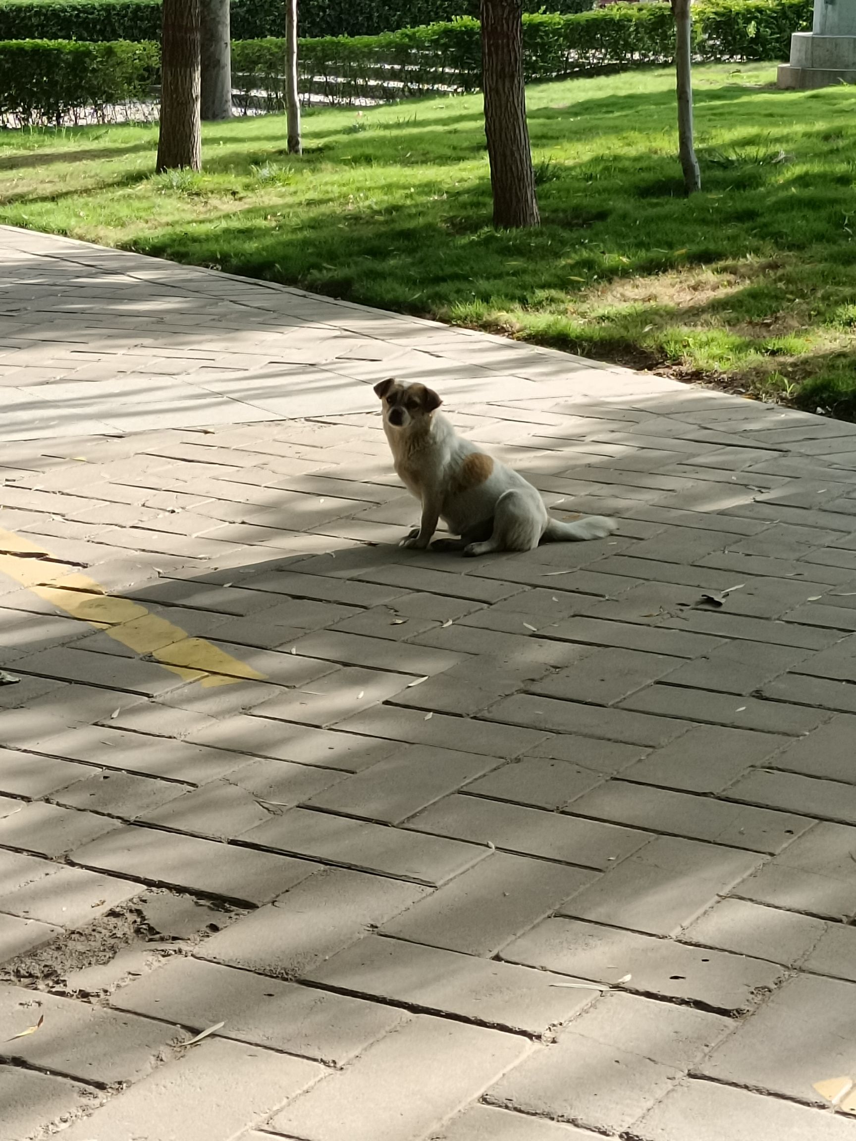 覃怀公园旅行图片 1