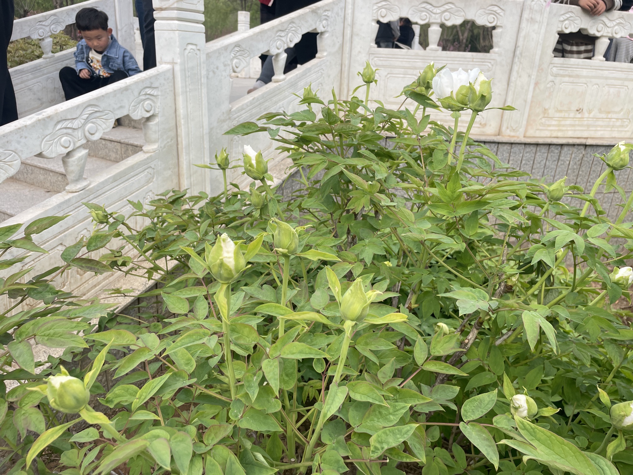 覃怀公园旅行图片 2