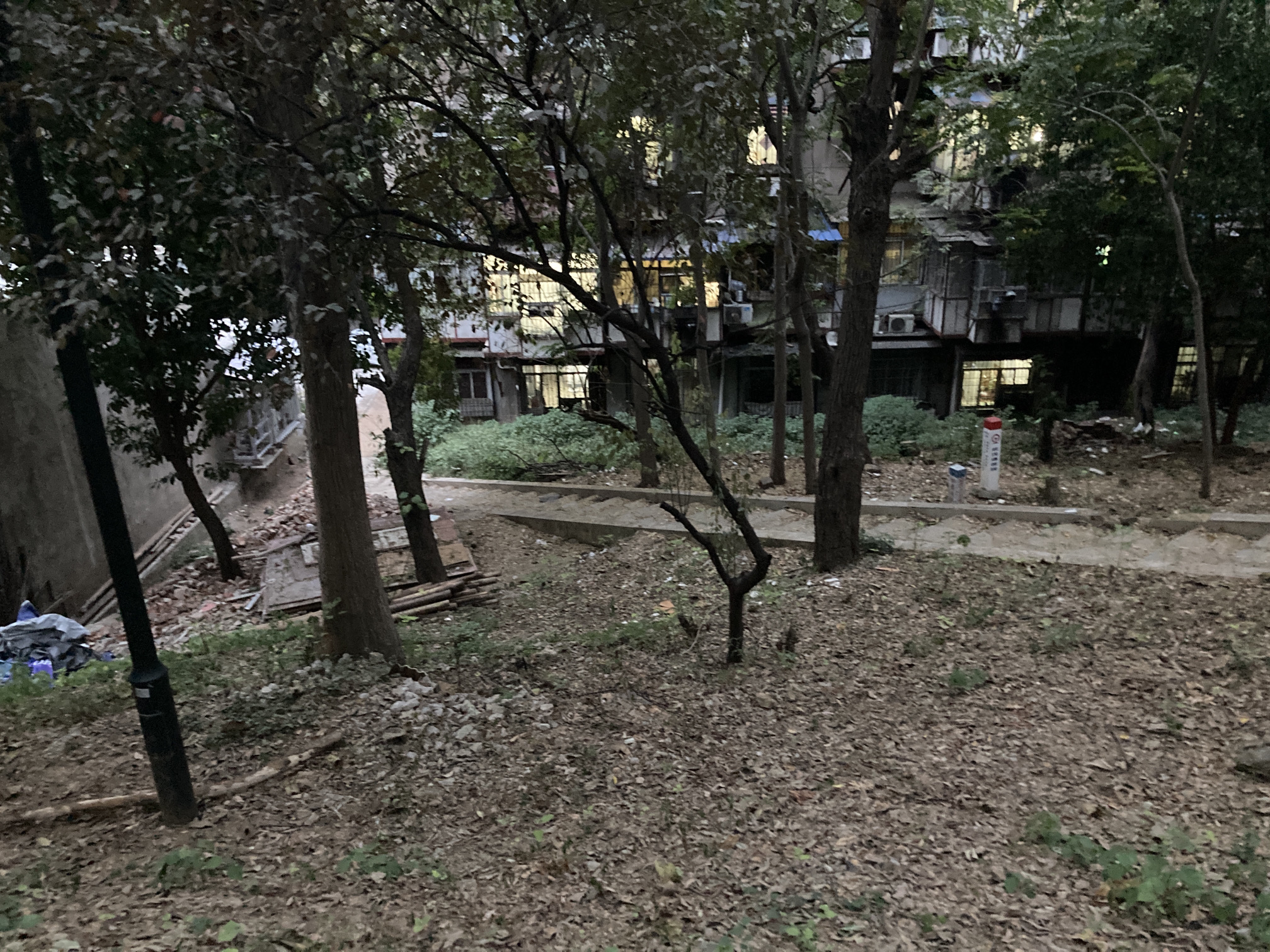 祢衡墓旅行图片 2