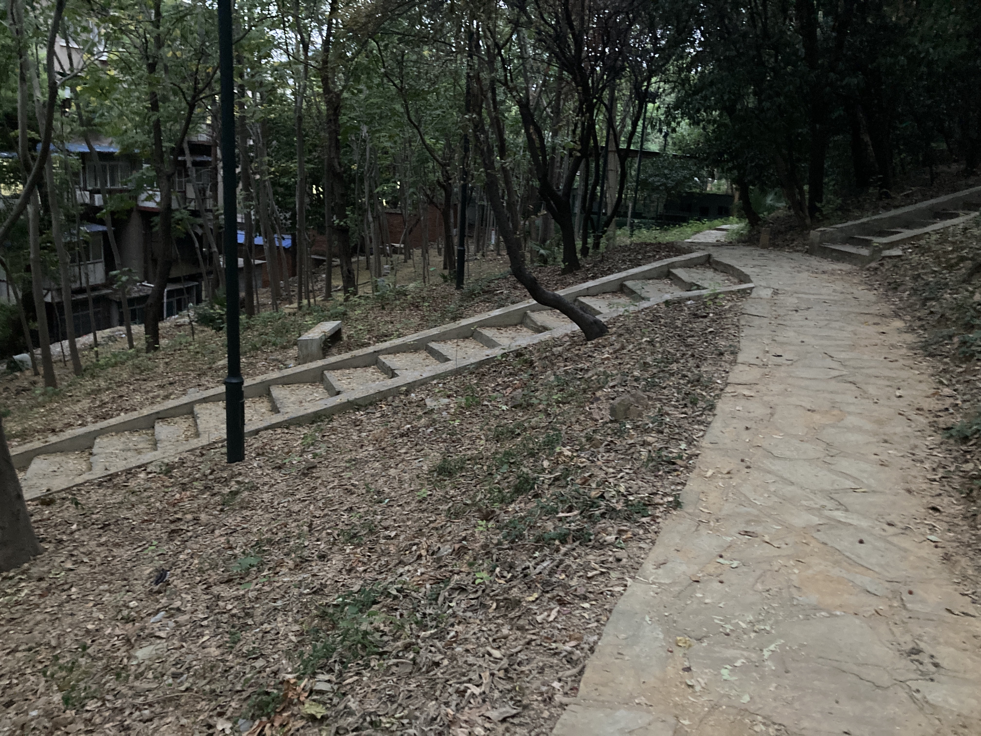 祢衡墓旅行图片 3