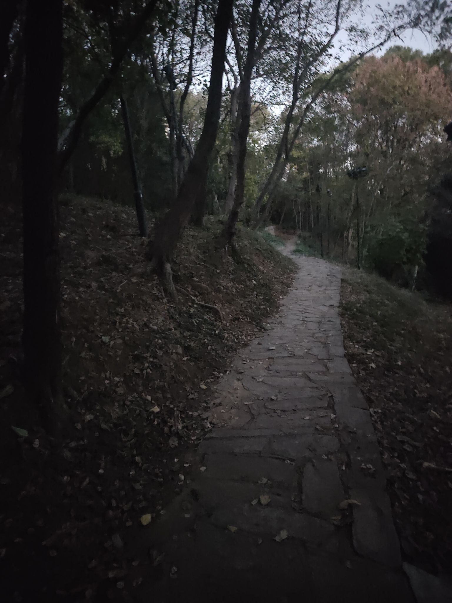 祢衡墓旅行图片 3