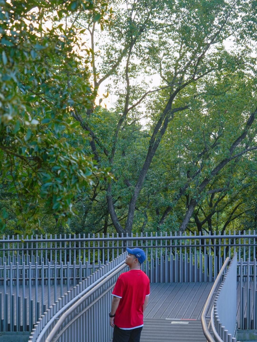 椒江云西公园旅行图片 3