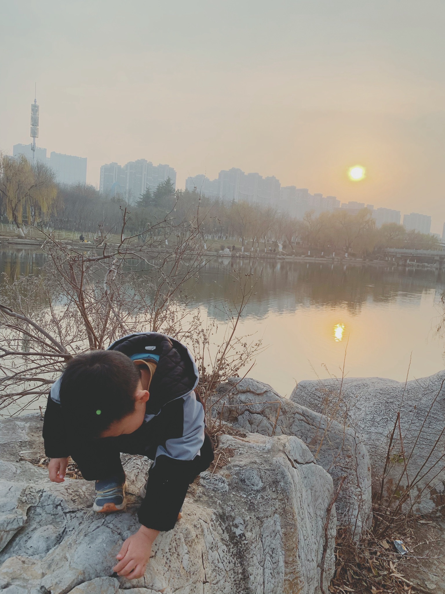 肥城湿地公园旅行图片 2