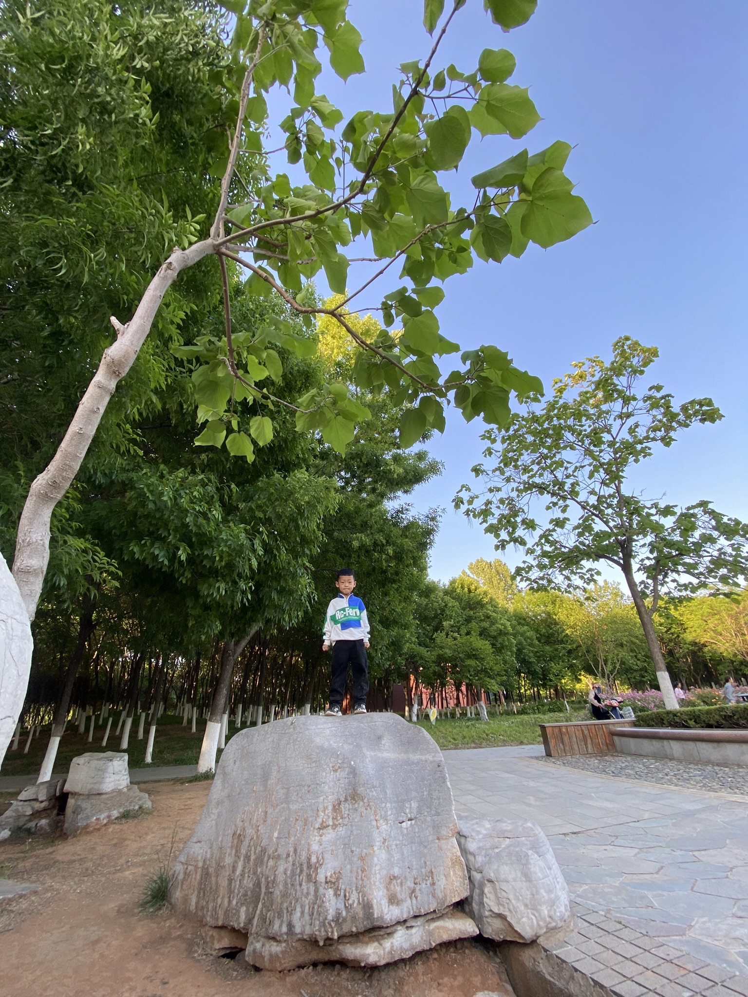 肥城湿地公园旅行图片 1