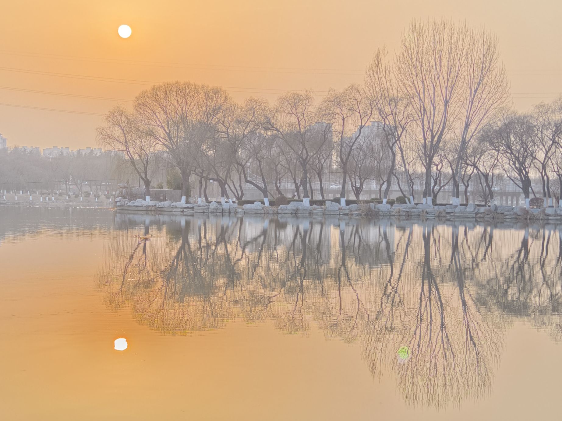 肥城湿地公园旅行图片 3