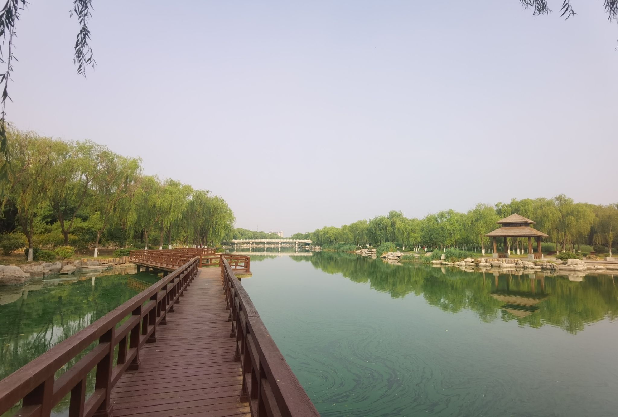 肥城湿地公园旅行图片 3