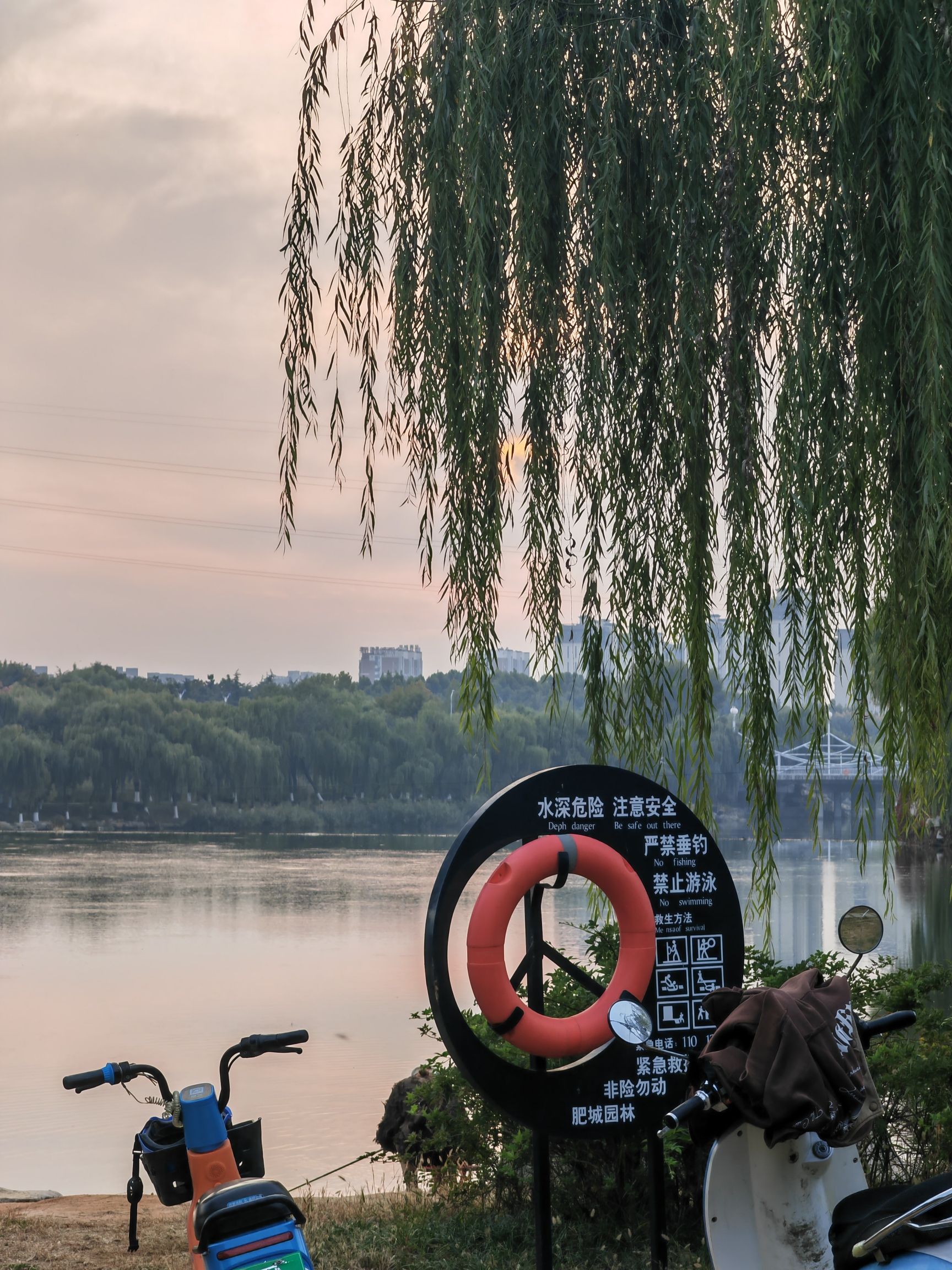 肥城湿地公园旅行图片 2