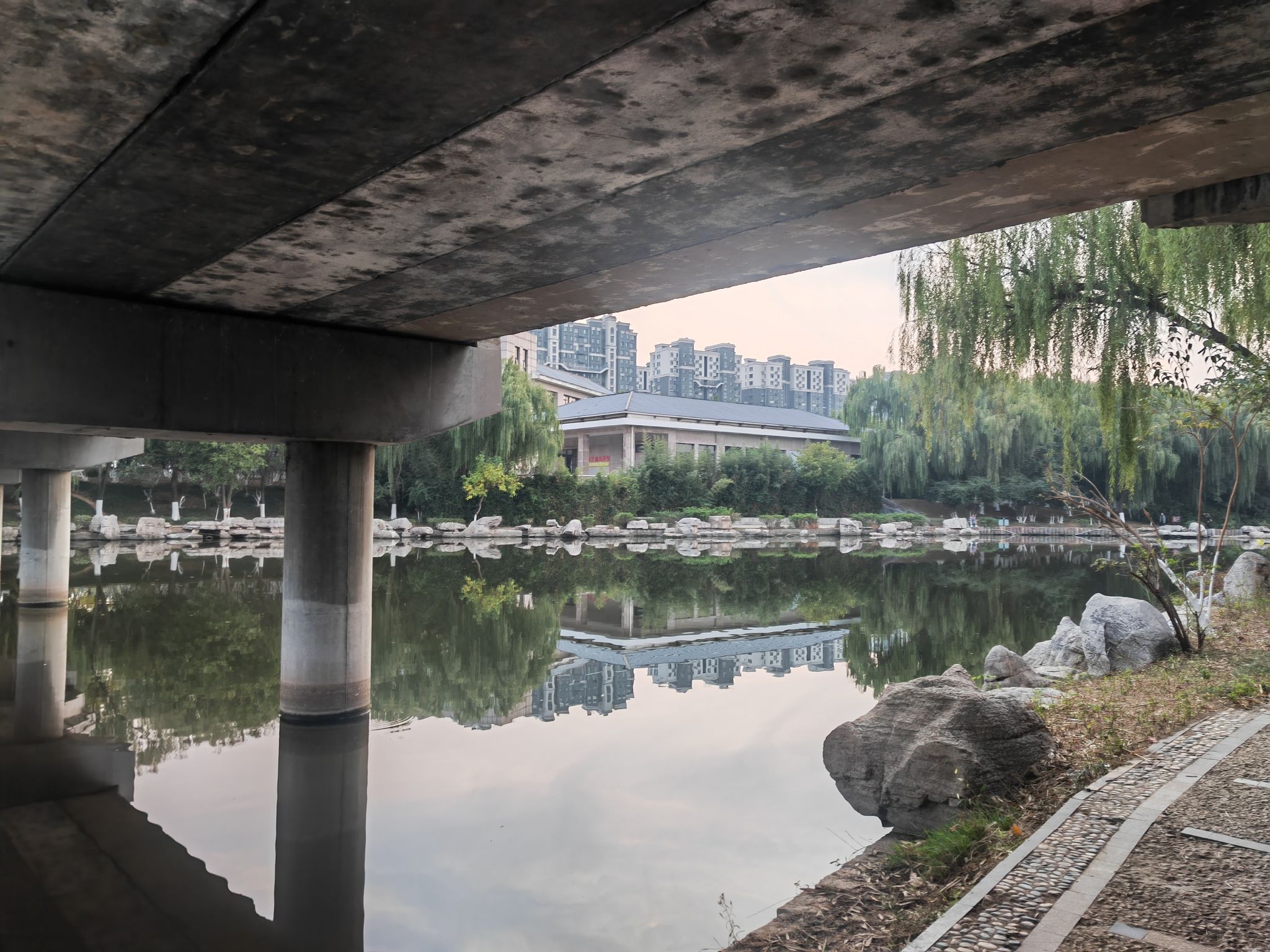 肥城湿地公园旅行图片 3