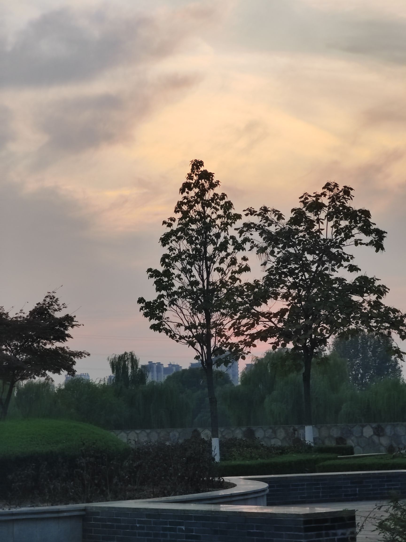 肥城湿地公园旅行图片 1