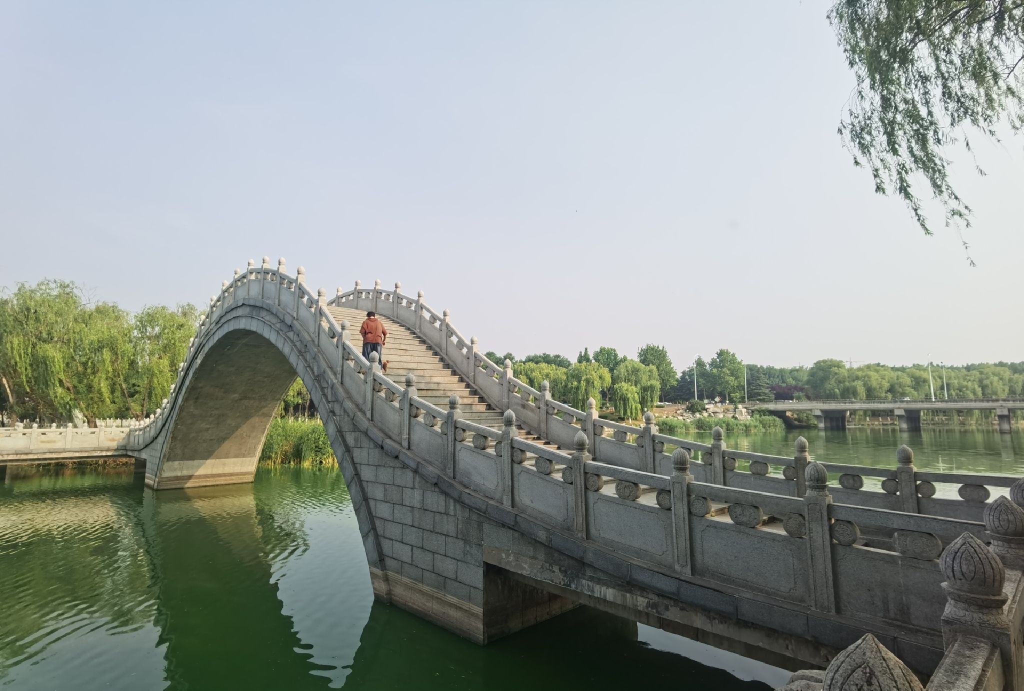 肥城湿地公园旅行图片 1
